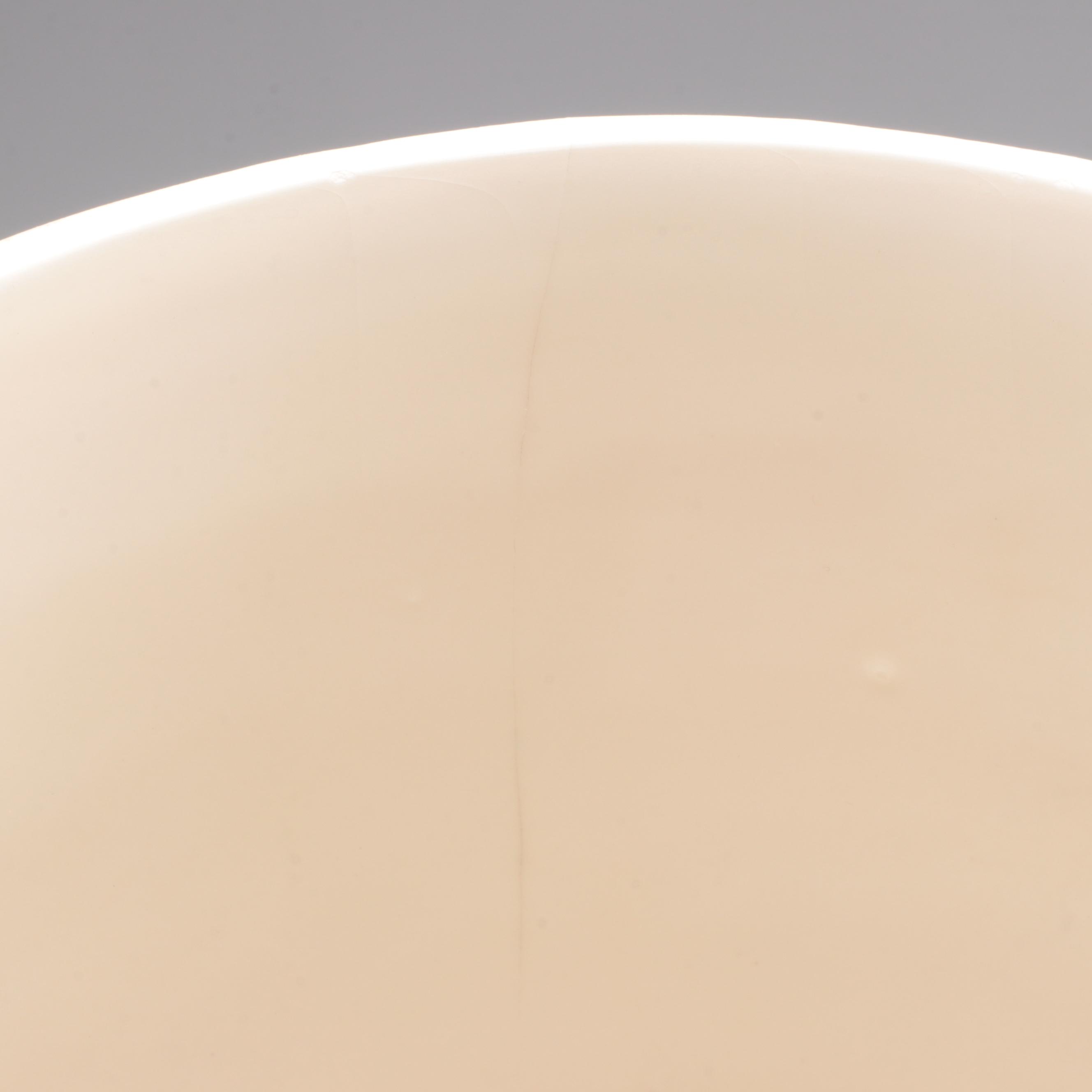 Studio A Portuguese Vase with Contemporary Décor