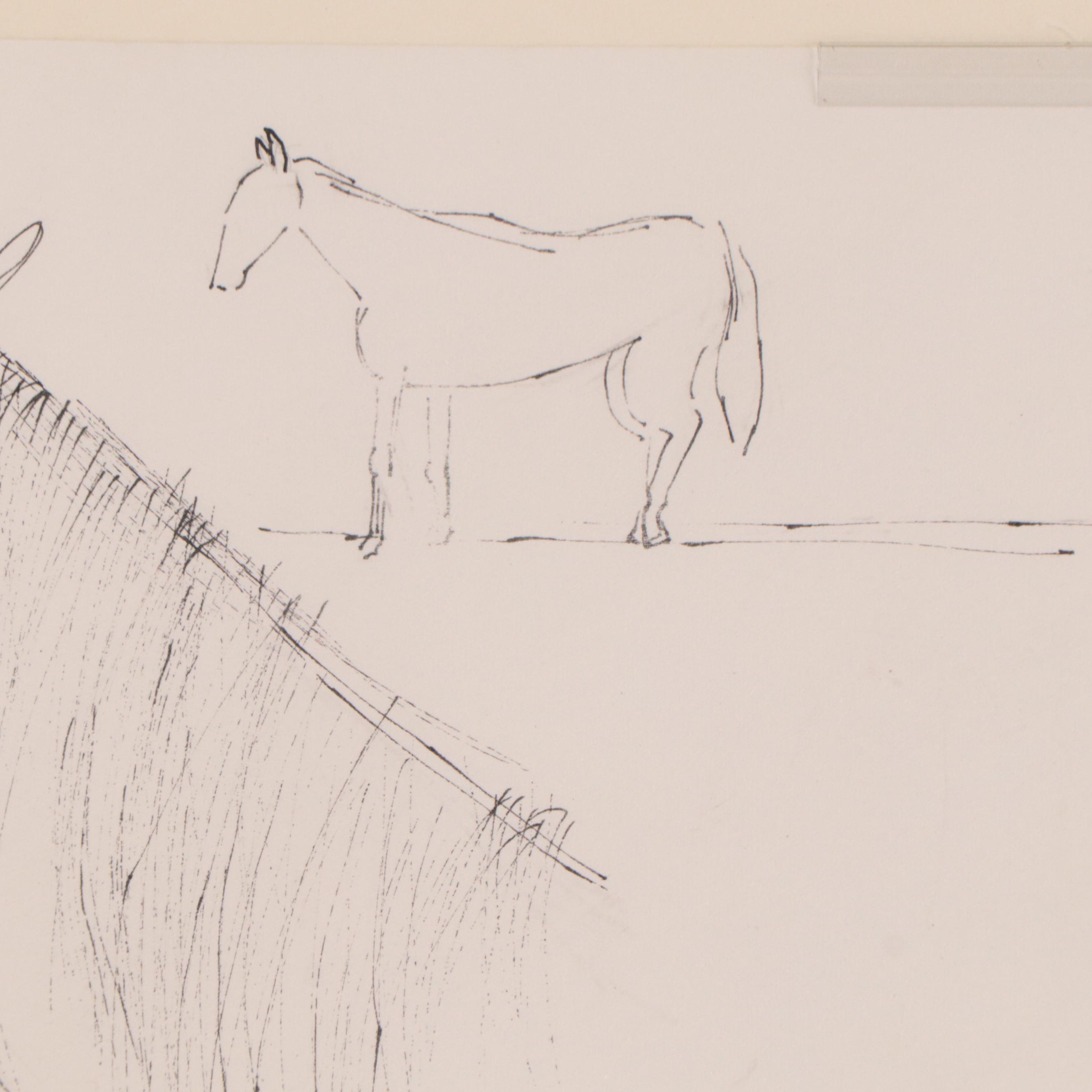 Walter Stomps Pen and Ink Equestrian Drawings, Circa 1961