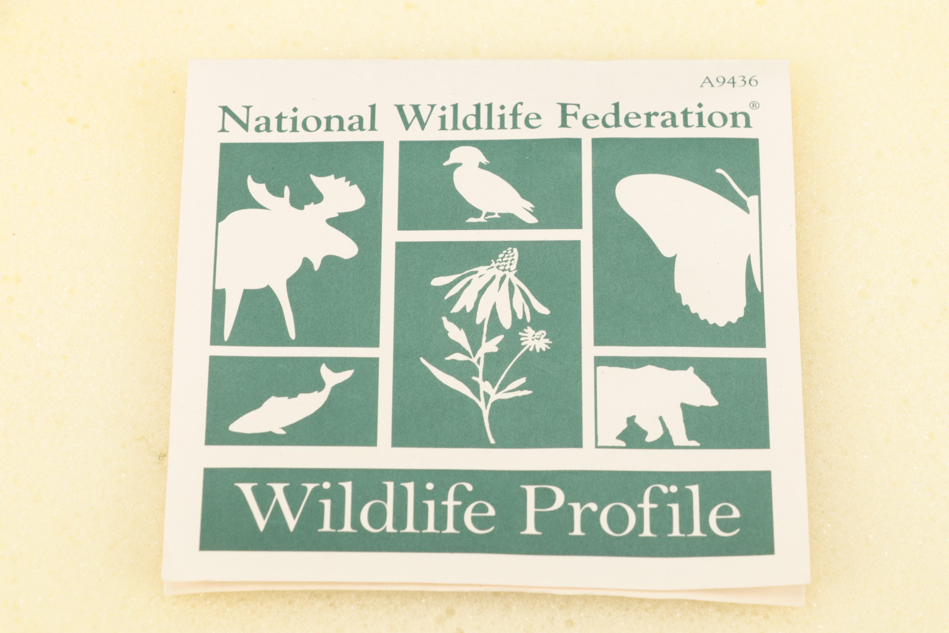 Japanese and Other Child's Tea Sets, Mid to Late 20th Century