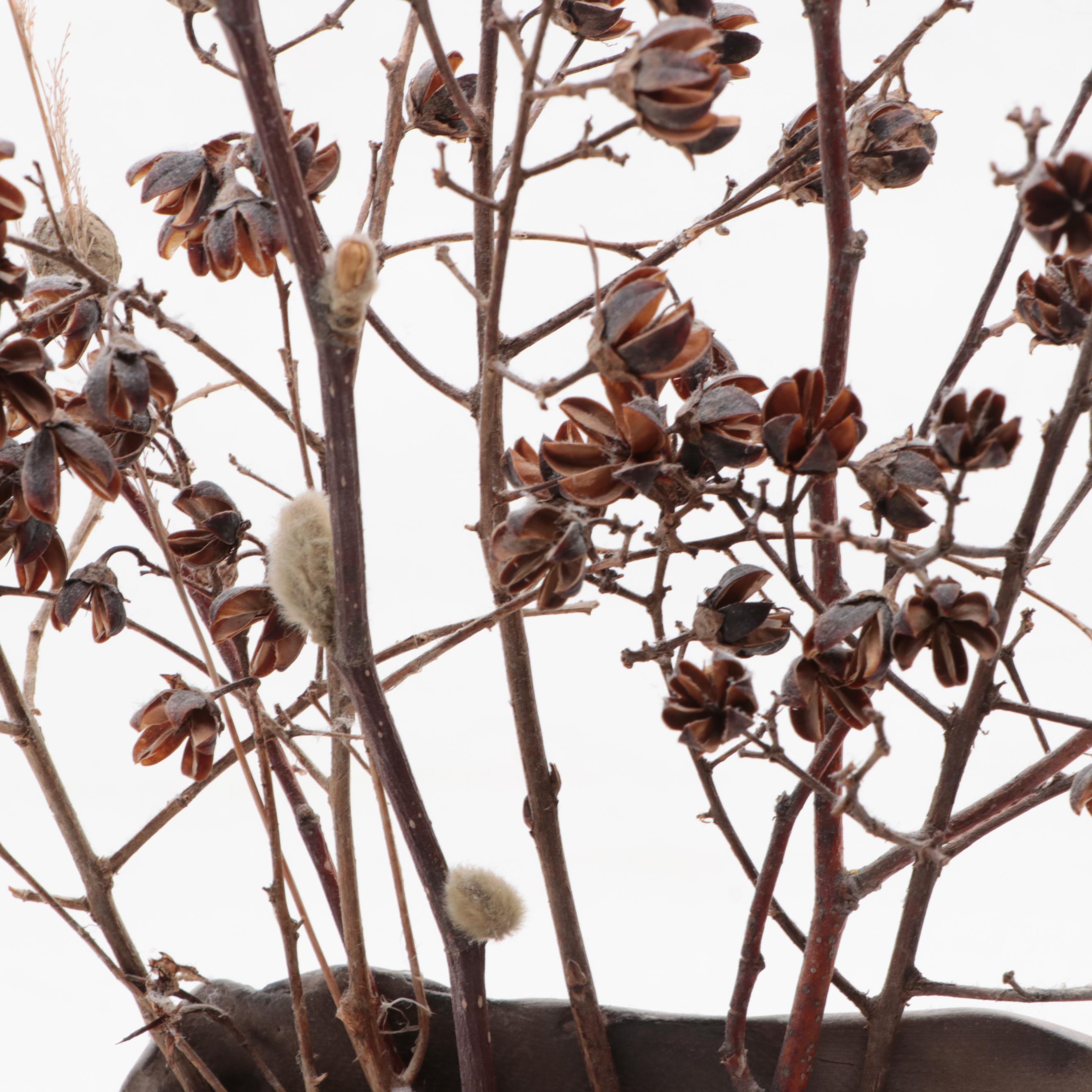 Signed Gretchen Lima Horse Figurine and More