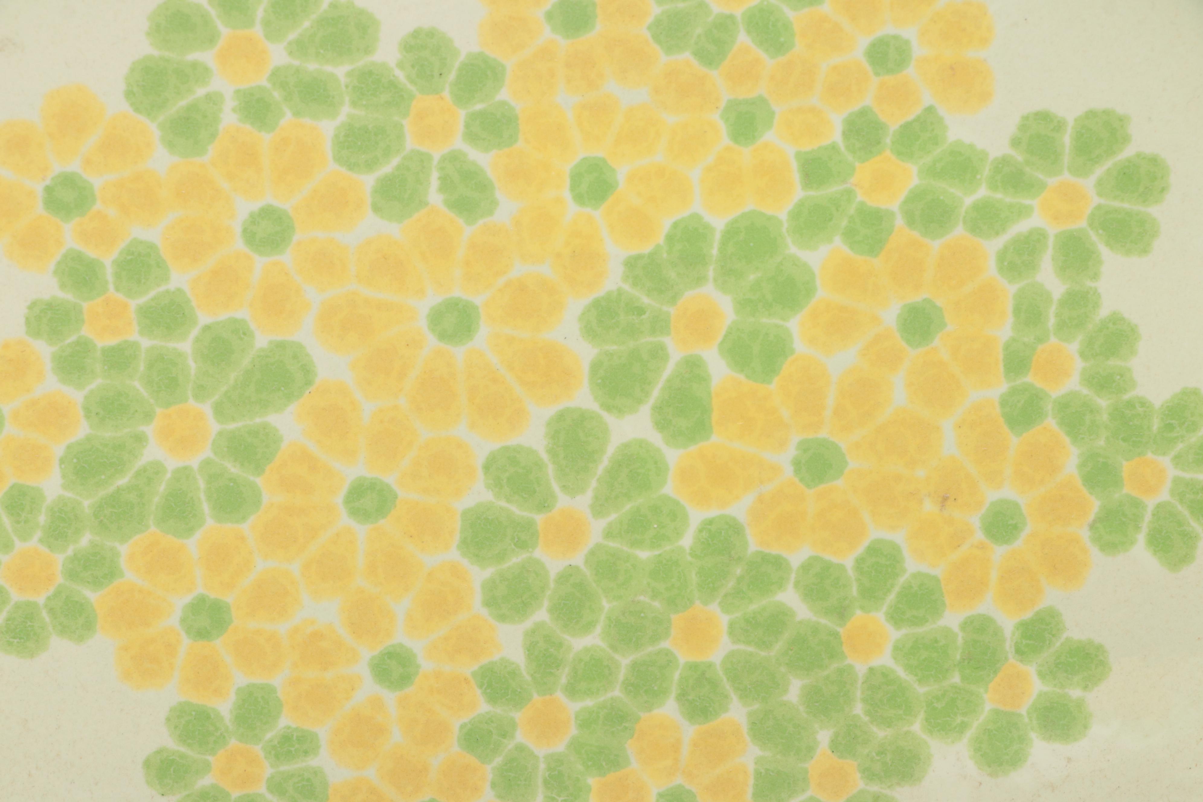 Franciscan "Picnic" Earthenware Dinnerware and Tableware, 1970s