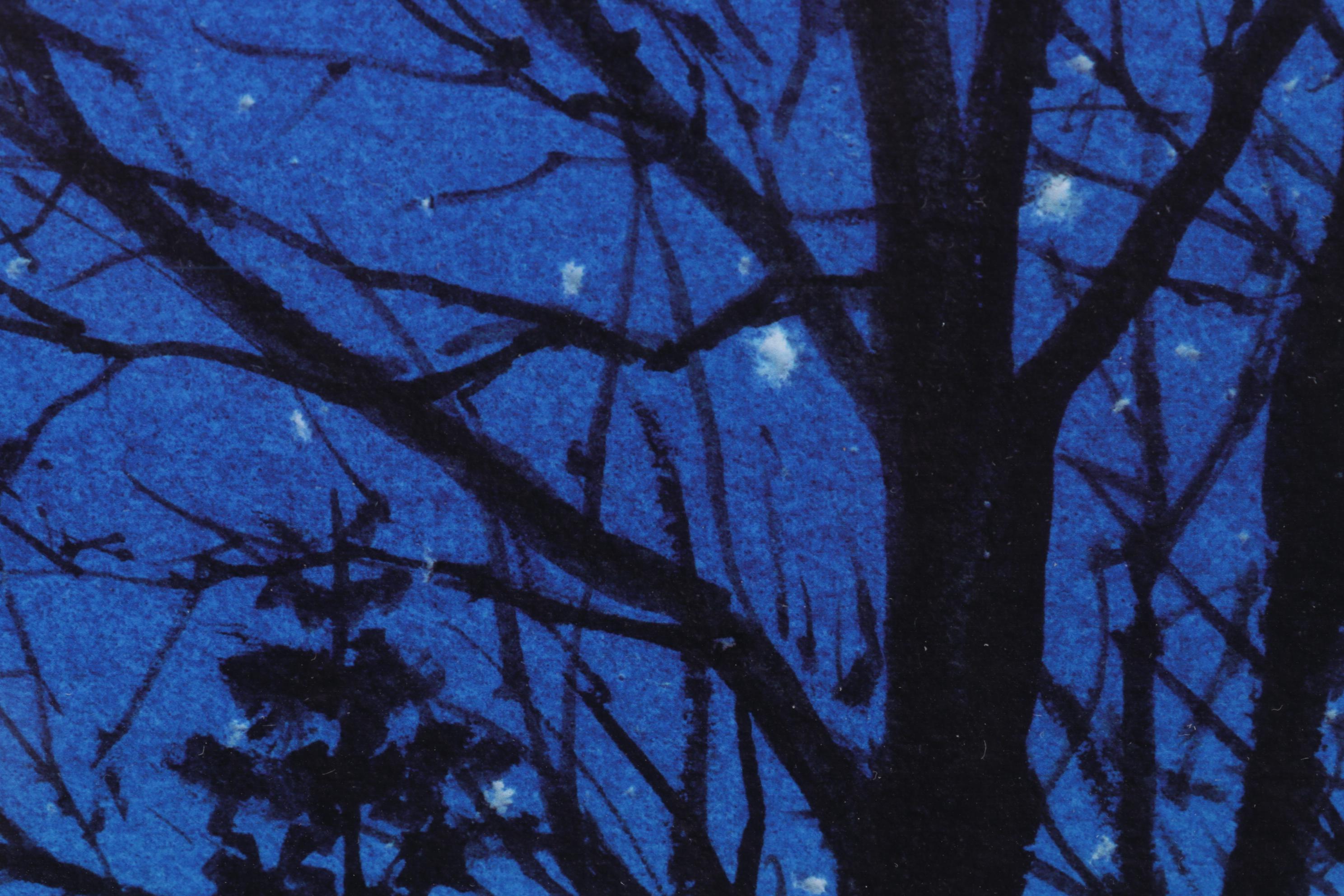 Linda Henry Landscape Giclées Including "Night Skies," 21st Century