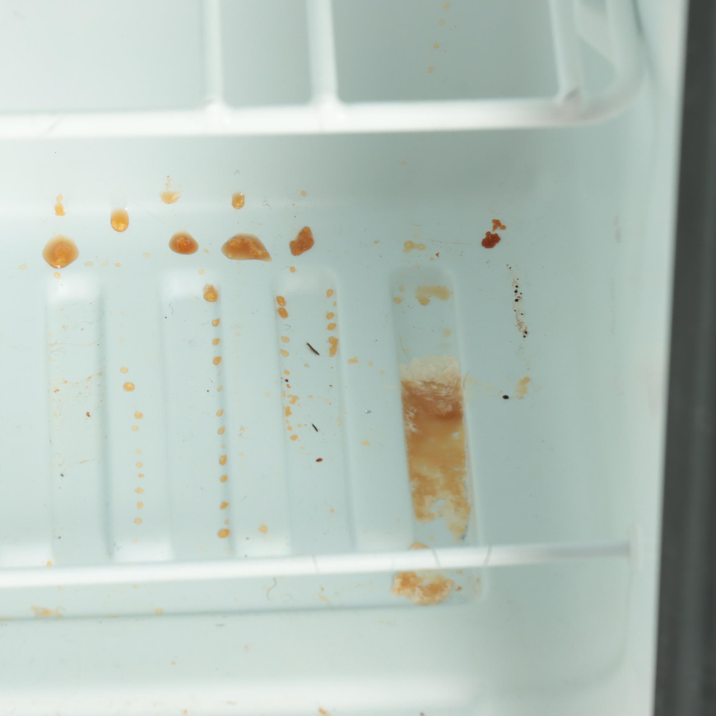 Kenmore Compact Refrigerator with Tempered Glass Front