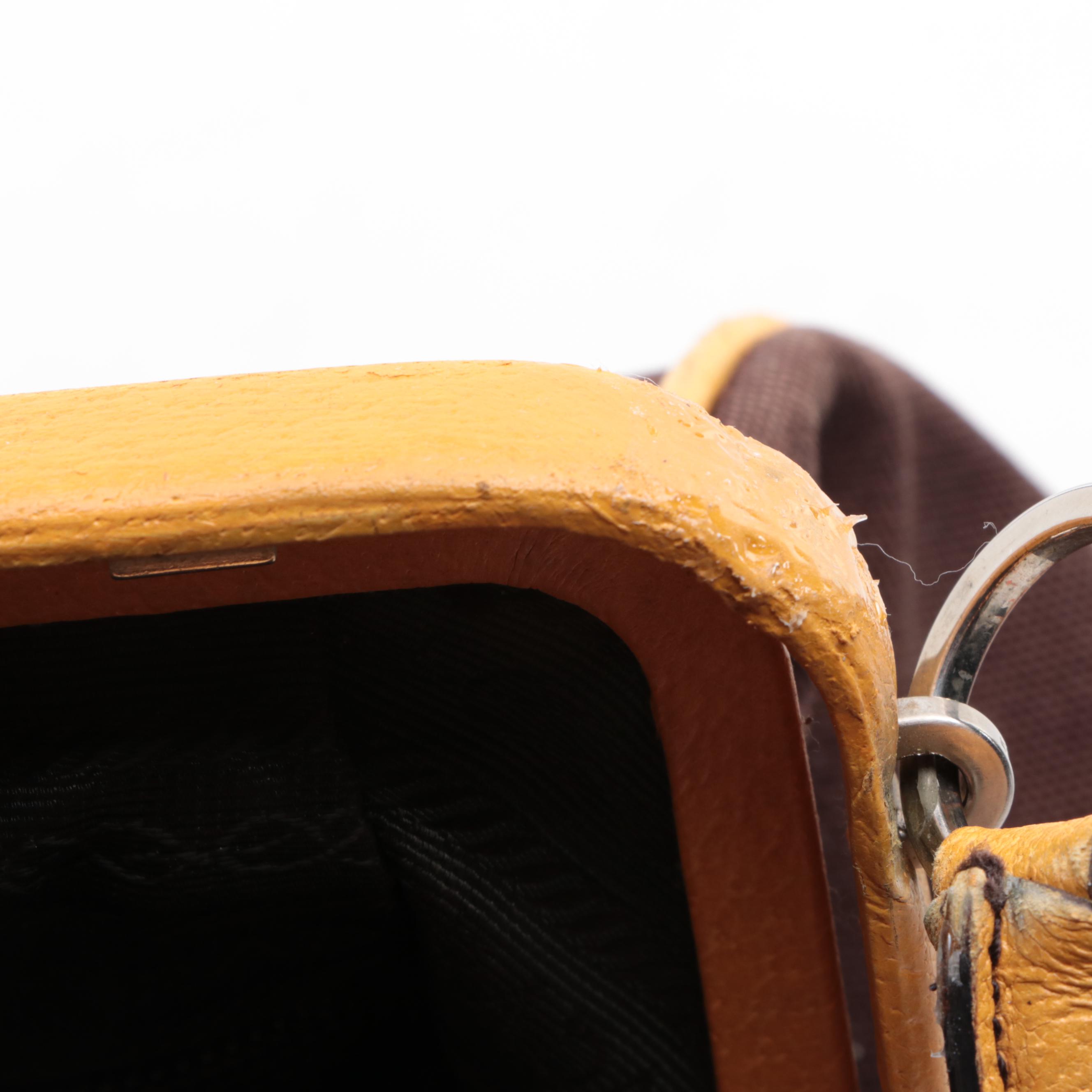 Prada Canapa Cerniera Frame Doctor Bag