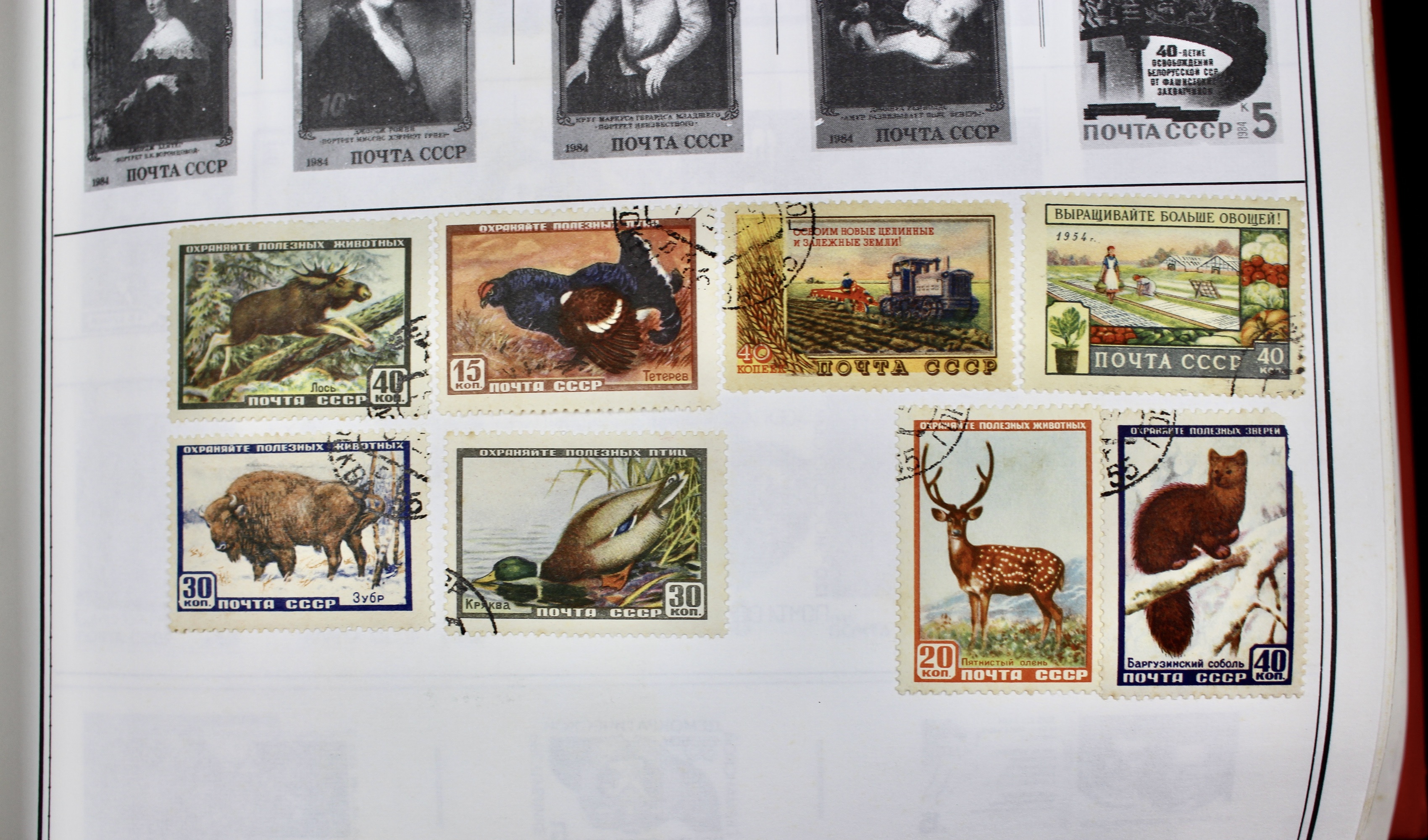 Russian Postage Stamp Collection