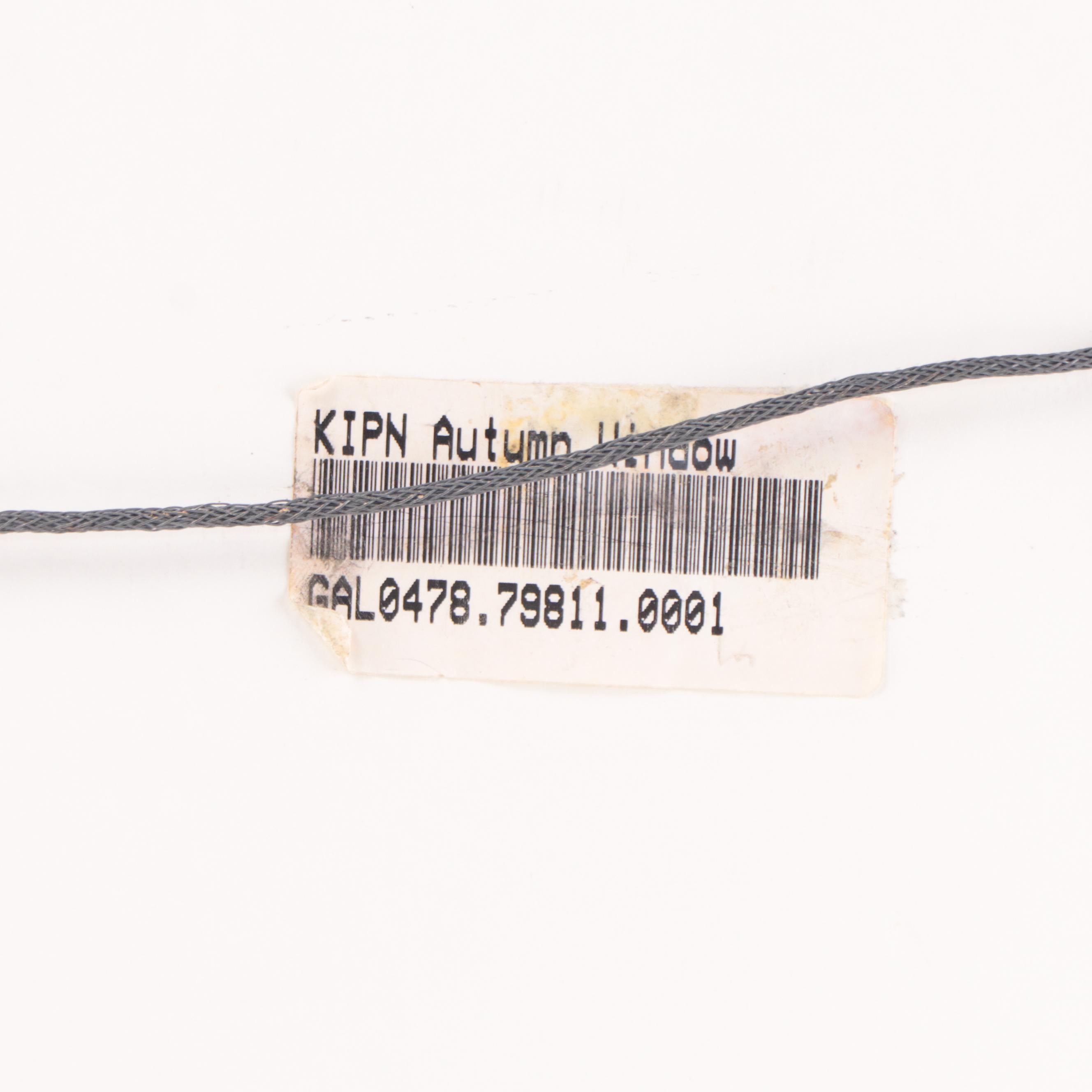 Robert Kipniss Lithograph "Autumn Window"