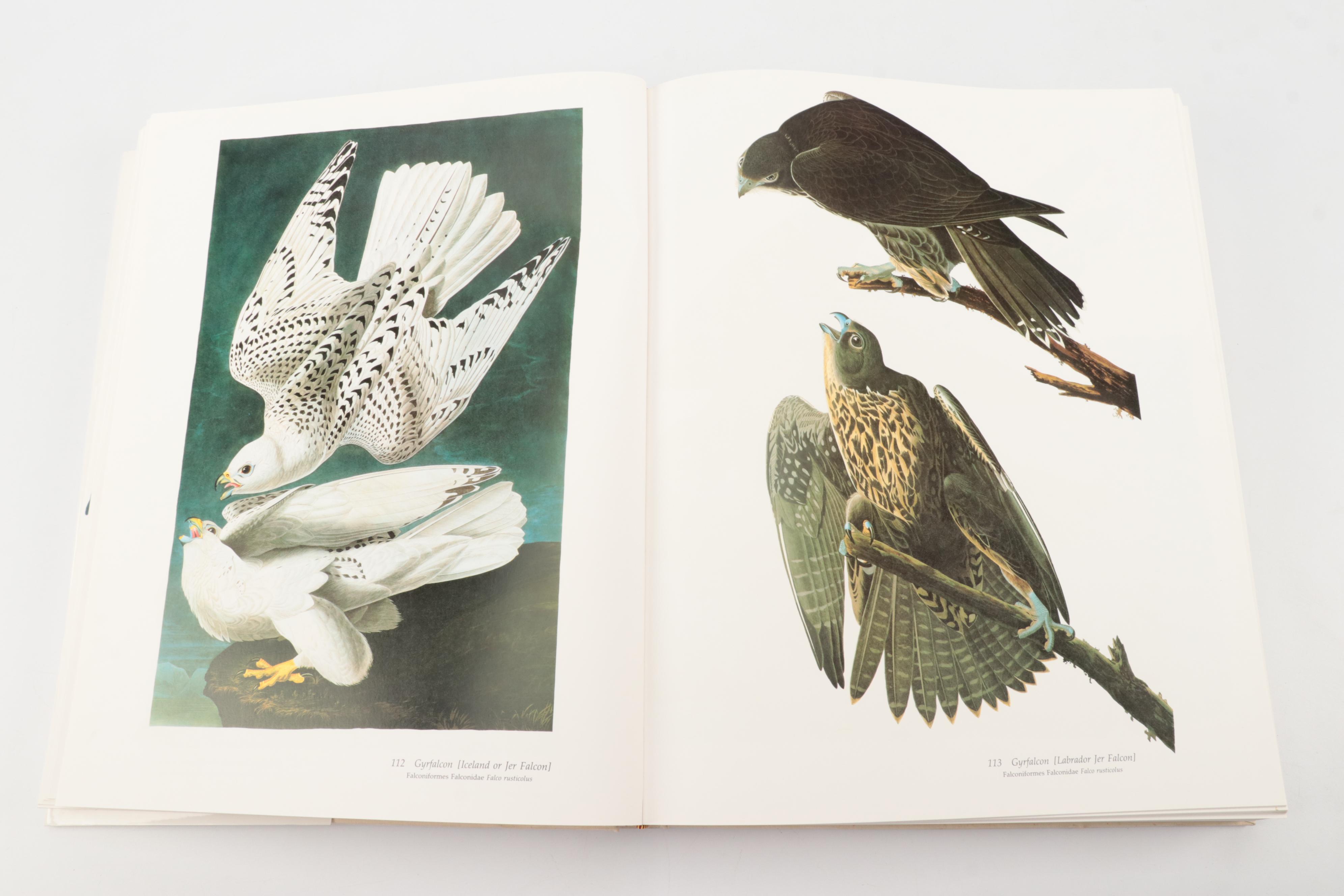 "Audubon's Birds of America" Baby Elephant Folio by the Petersons, 1985