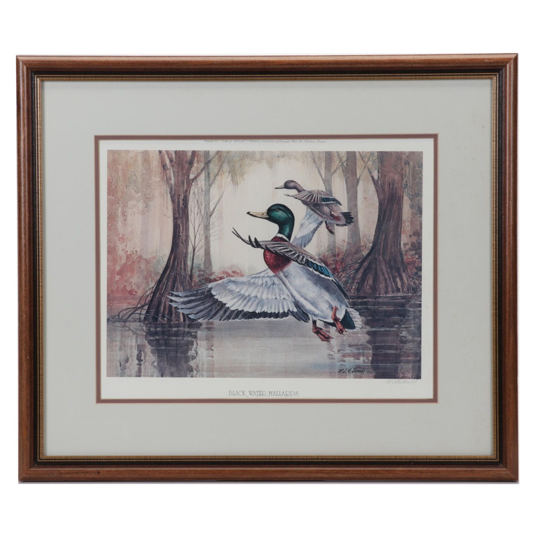 Ralph McDonald Offset Lithographs "Black Water Mallards" and "A Fancy Pair II"