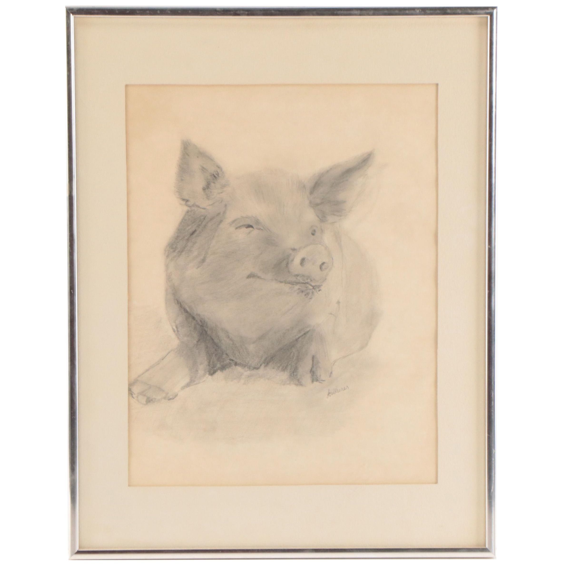 Lori Weiner Graphite Drawing of a Pig, 1983