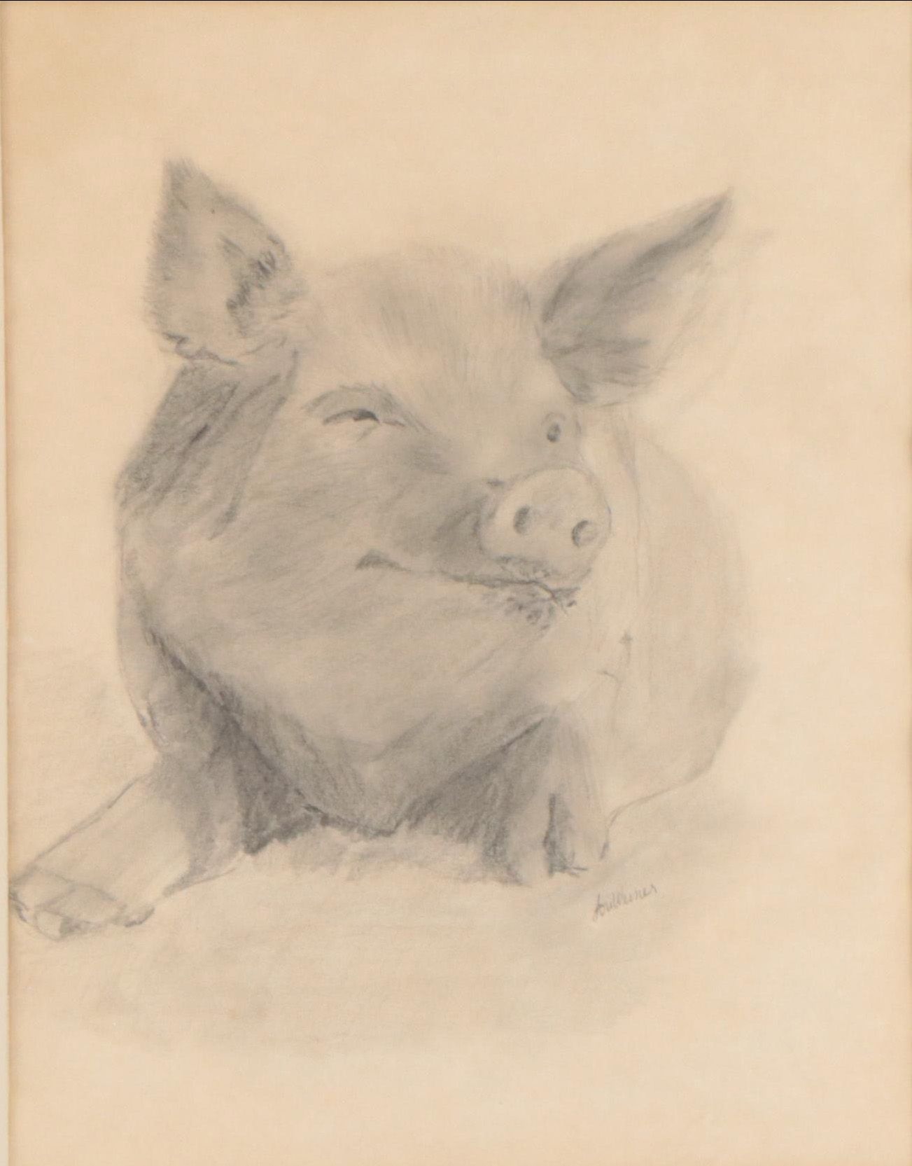 Lori Weiner Graphite Drawing of a Pig, 1983