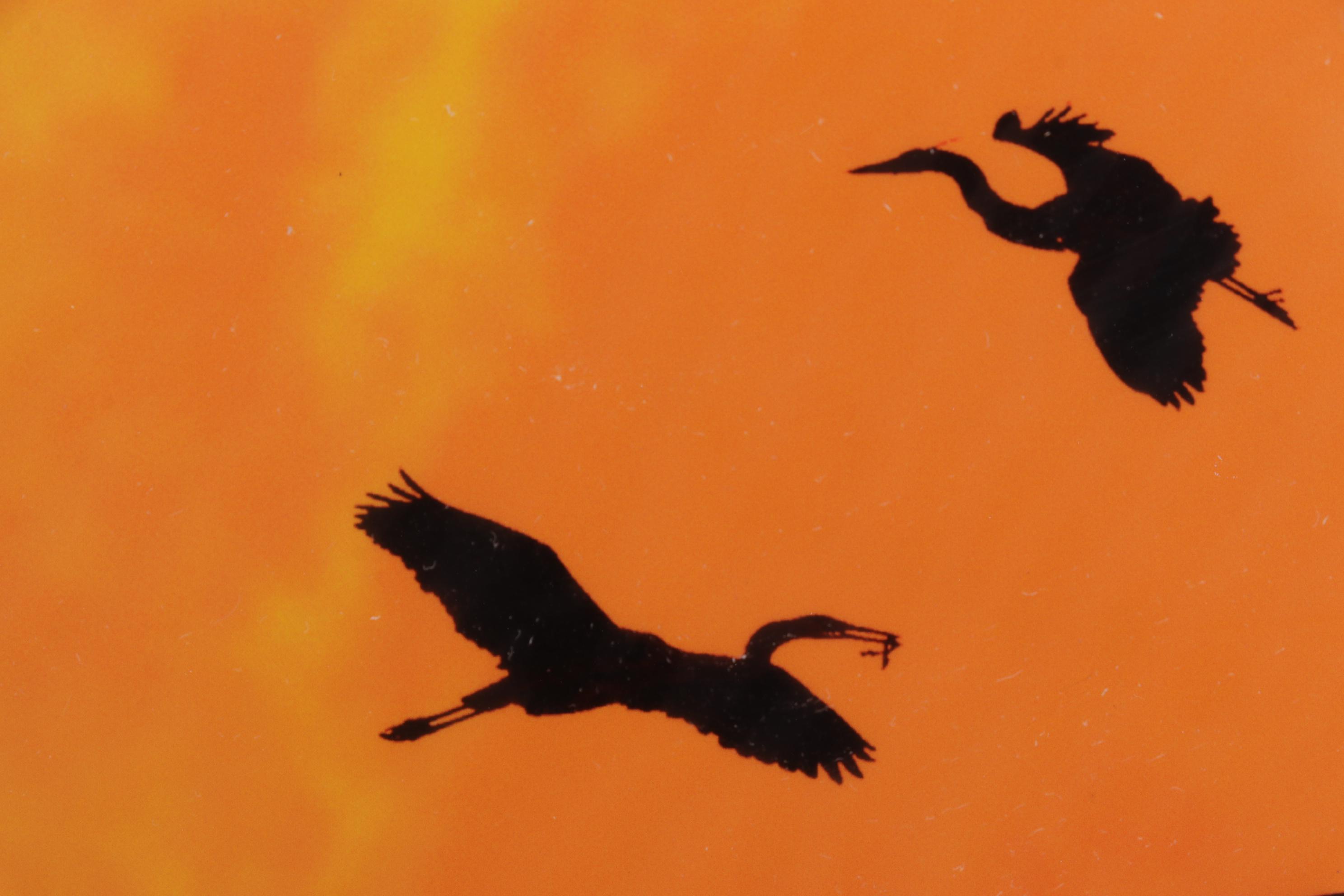 Kim L. Graham Digital Photograph "Herondipity," 21st Century