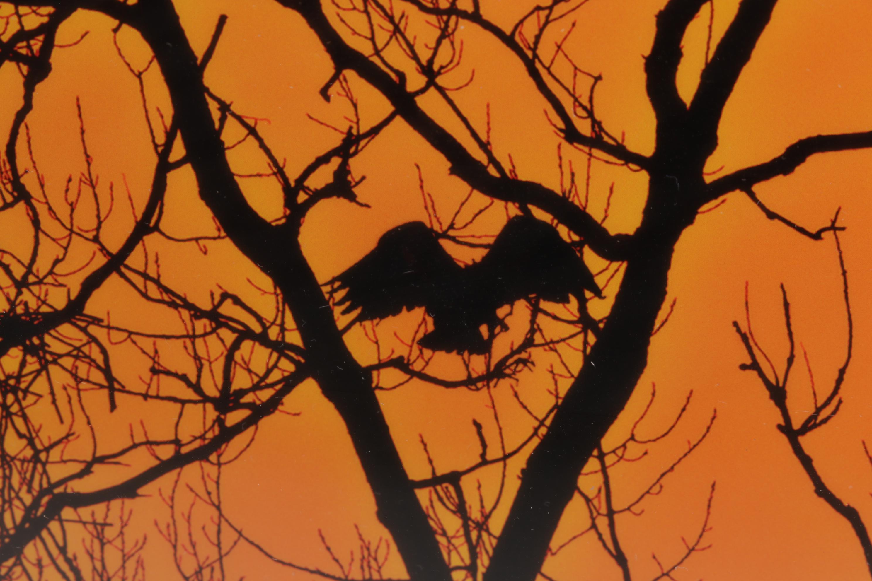 Kim L. Graham Digital Photograph "Herondipity," 21st Century