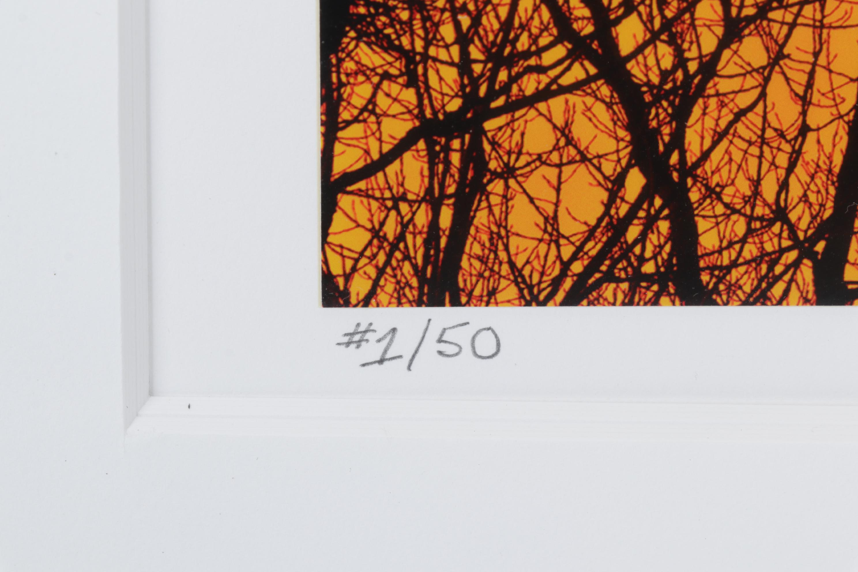 Kim L. Graham Digital Photograph "Herondipity," 21st Century