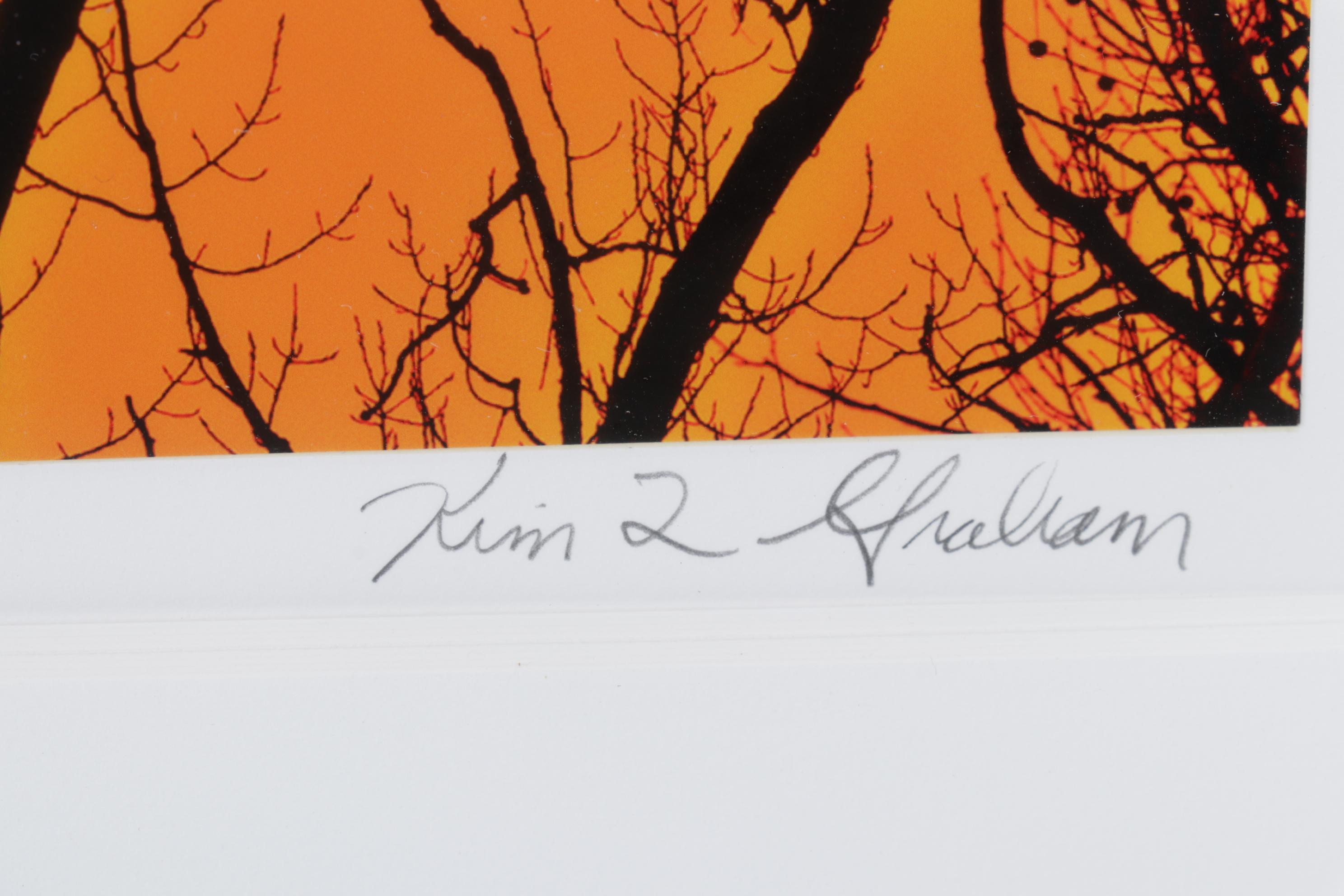 Kim L. Graham Digital Photograph "Herondipity," 21st Century