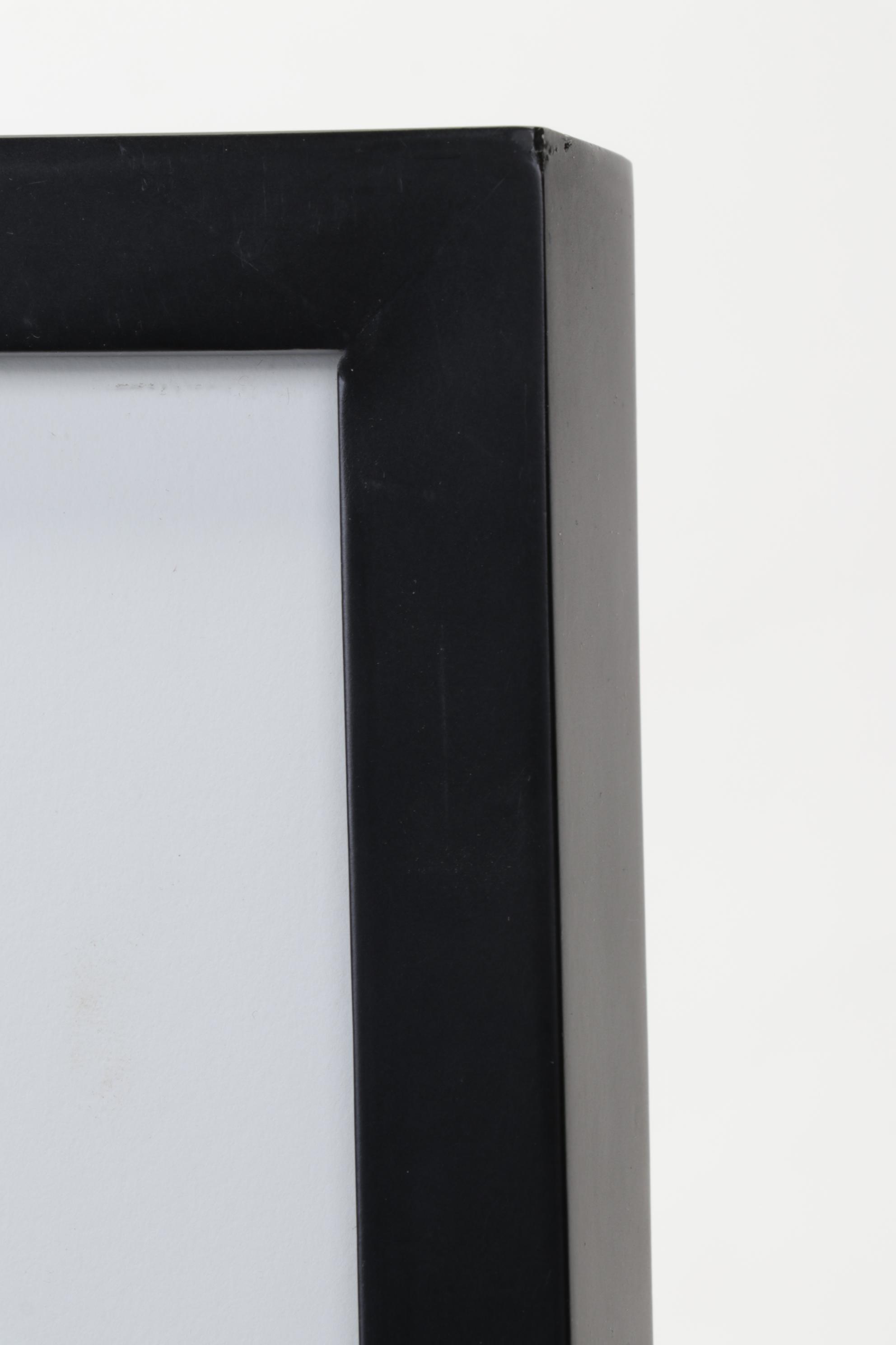 Kim L. Graham Digital Photograph "Herondipity," 21st Century