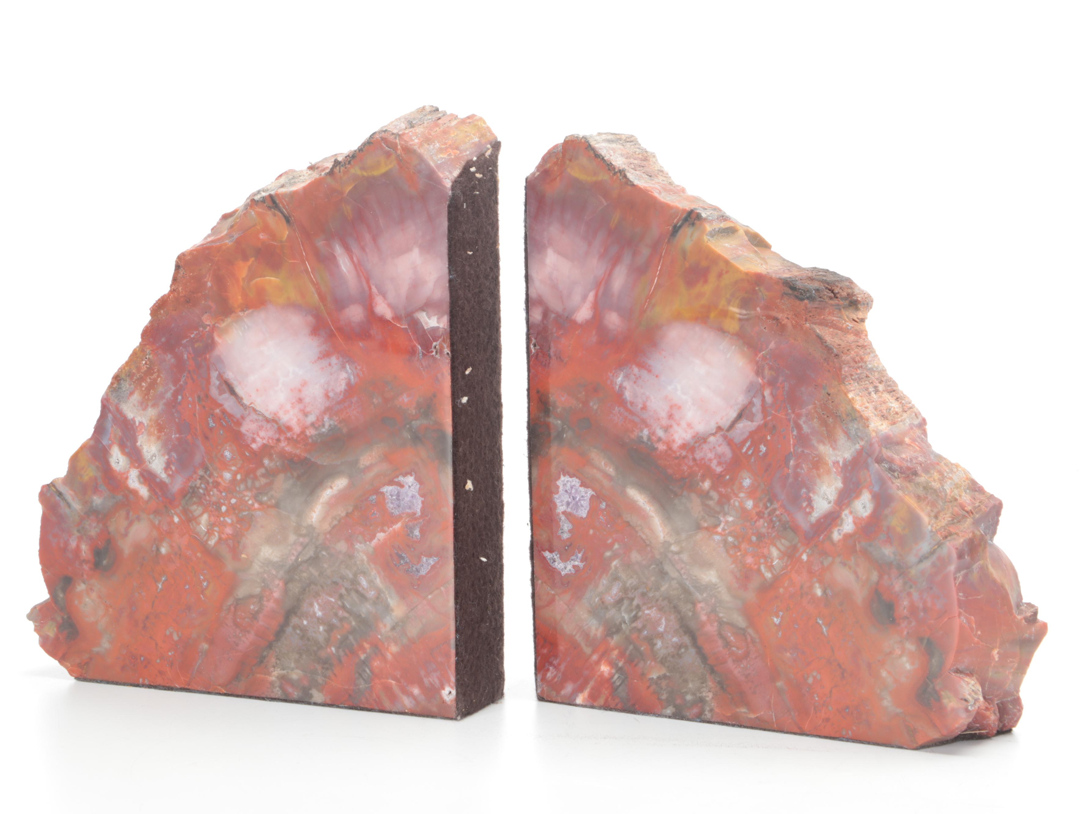 Kanab Wonderstone Sandstone and Agatized Petrified Wood