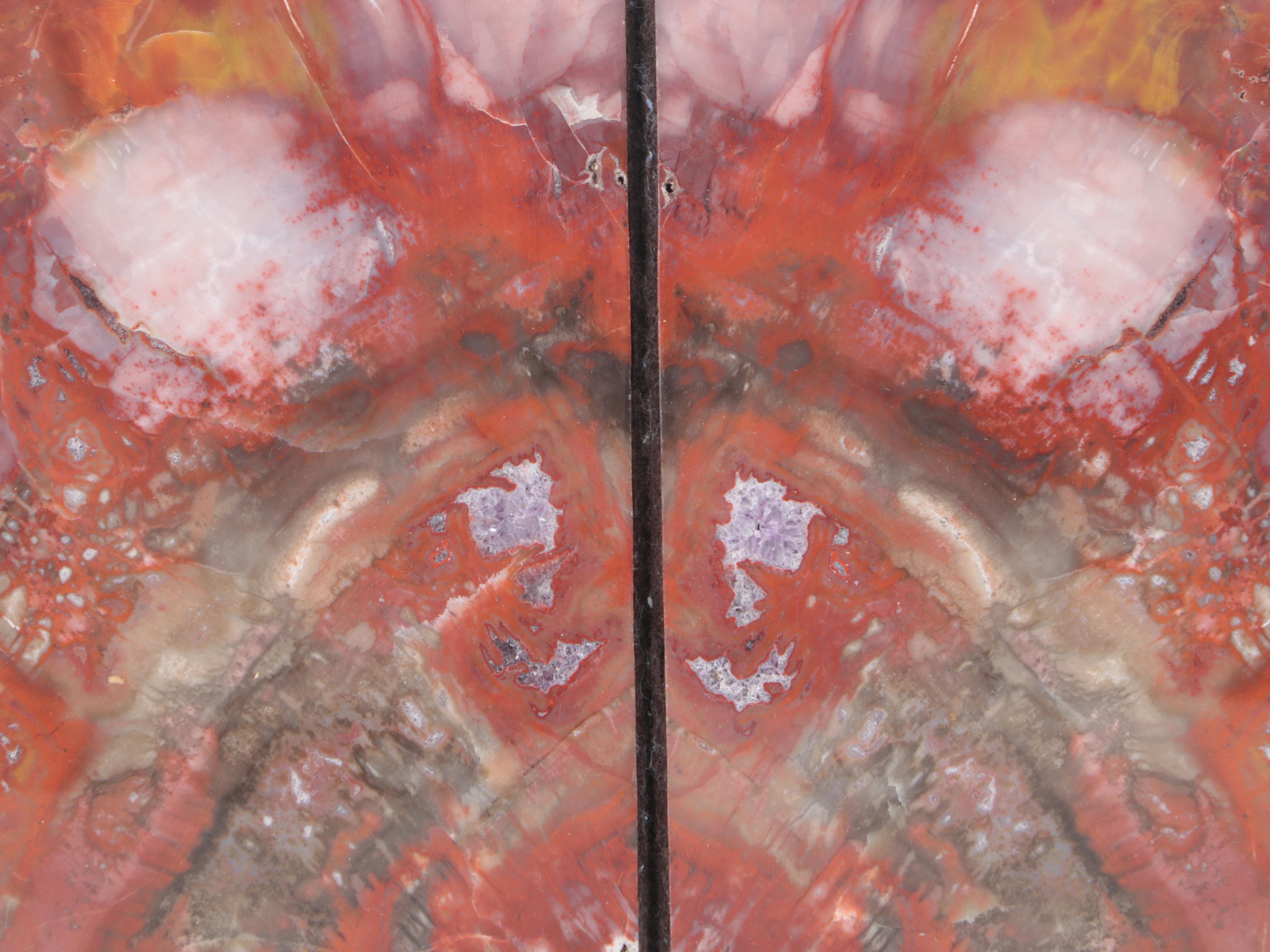 Kanab Wonderstone Sandstone and Agatized Petrified Wood