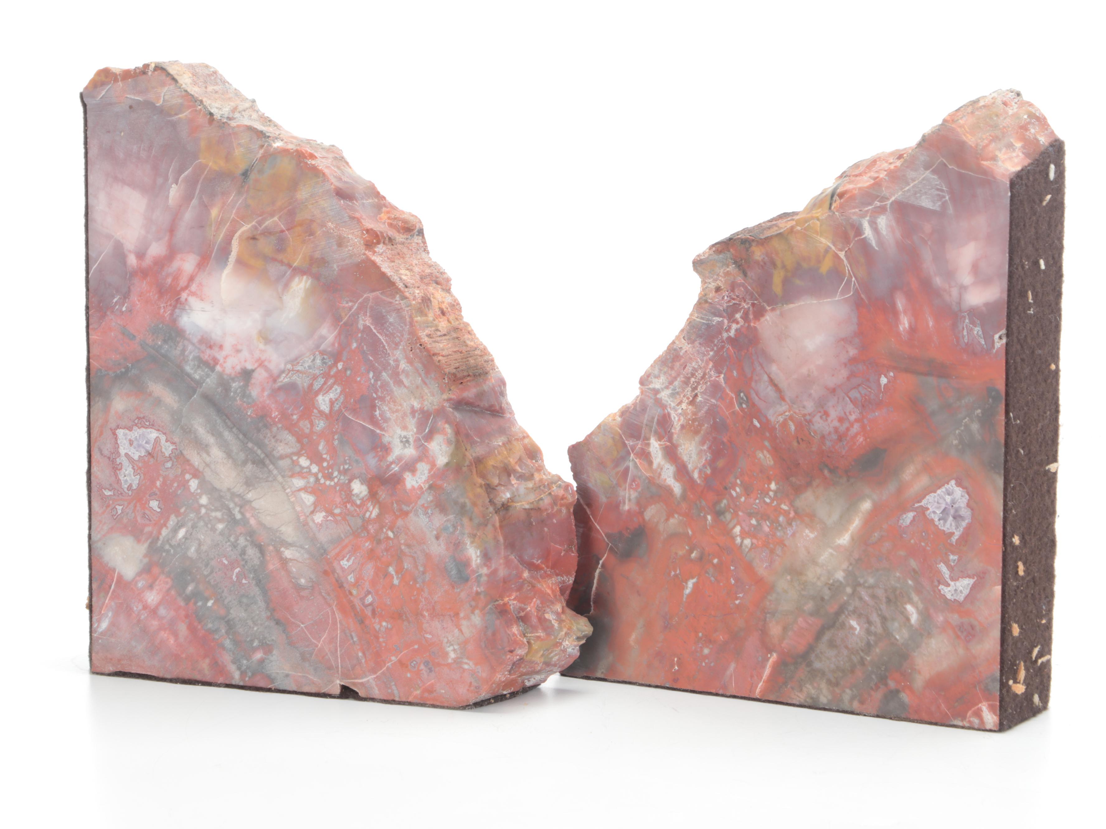 Kanab Wonderstone Sandstone and Agatized Petrified Wood