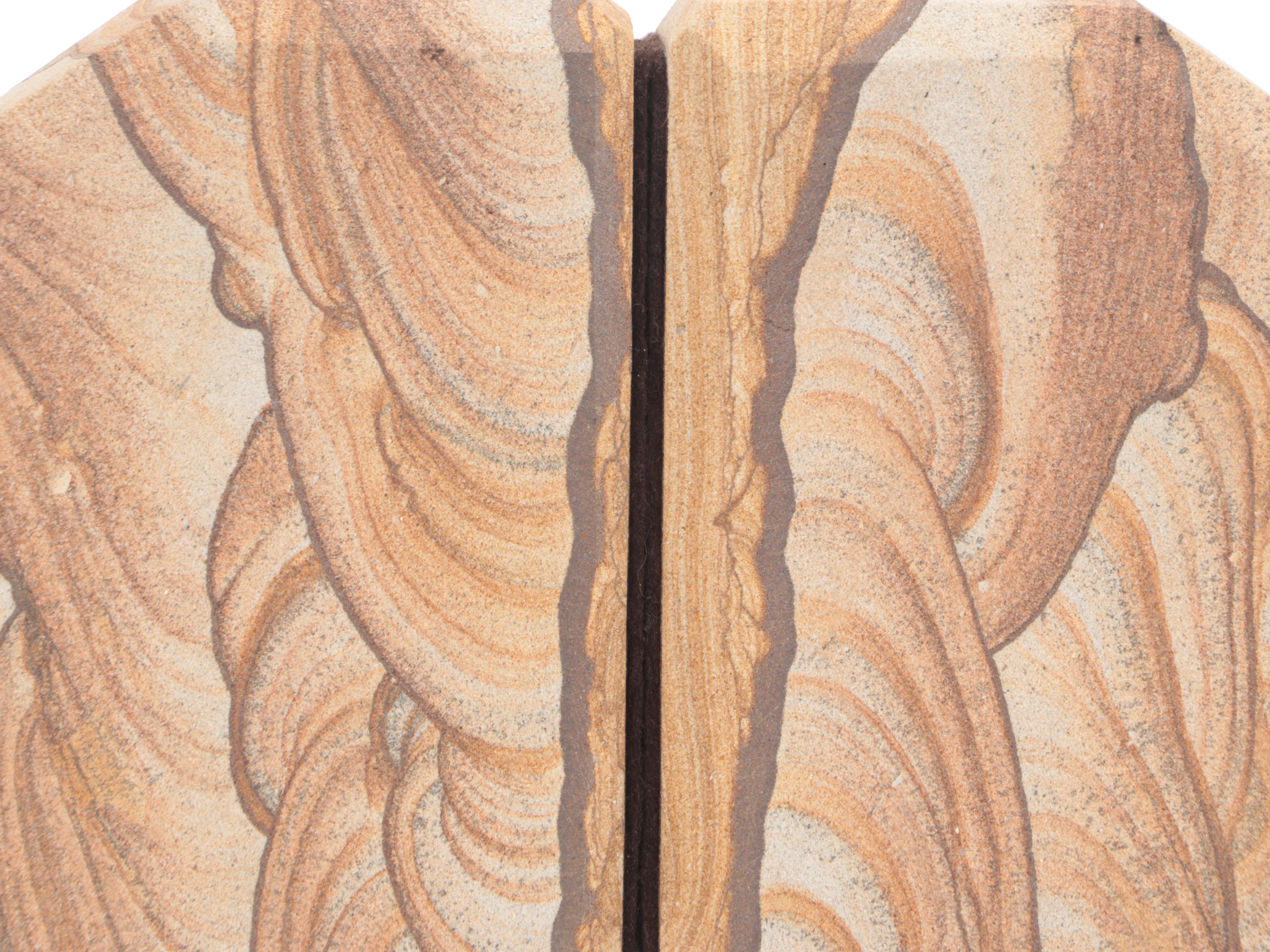 Kanab Wonderstone Sandstone and Agatized Petrified Wood