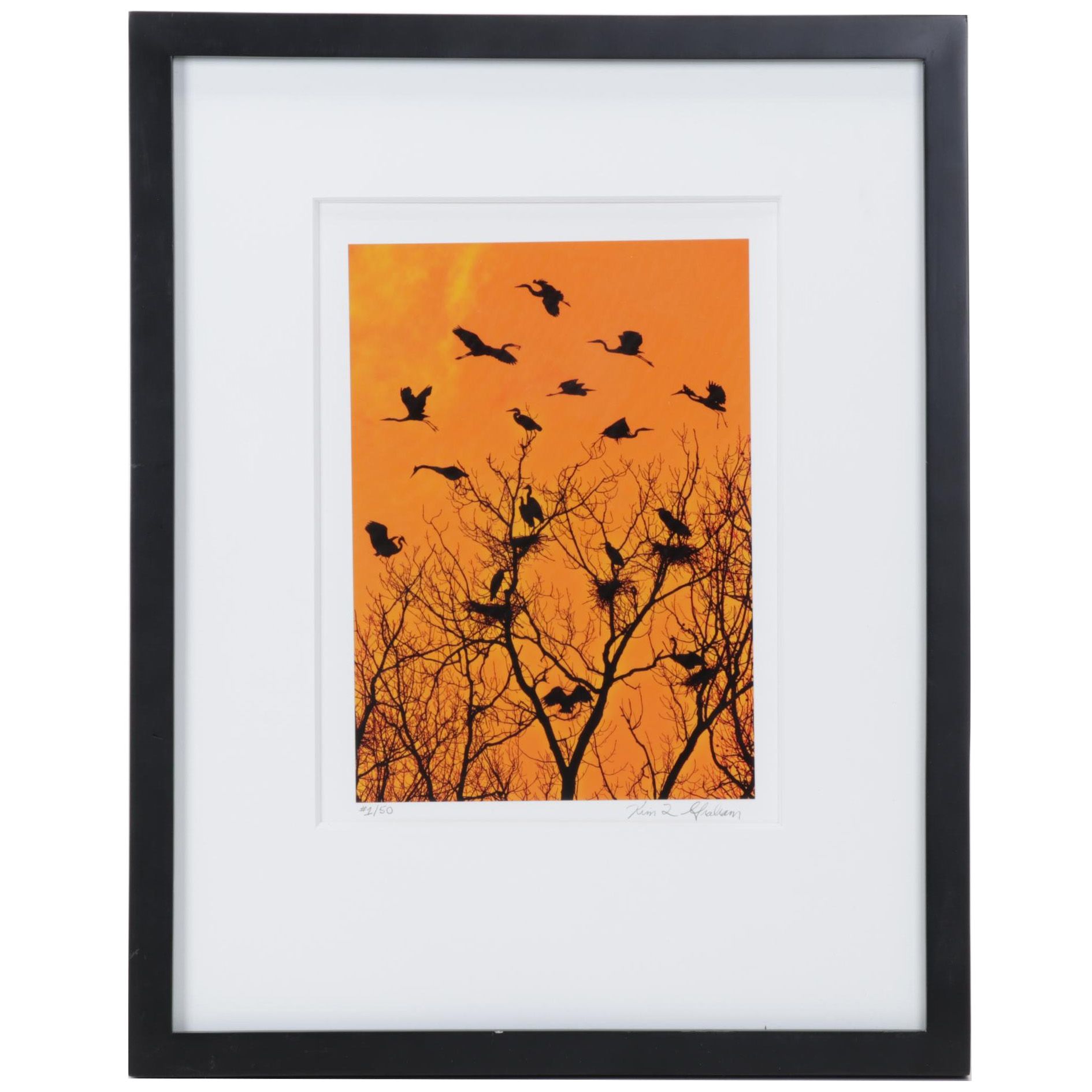 Kim L. Graham Digital Photograph "Herondipity," 21st Century