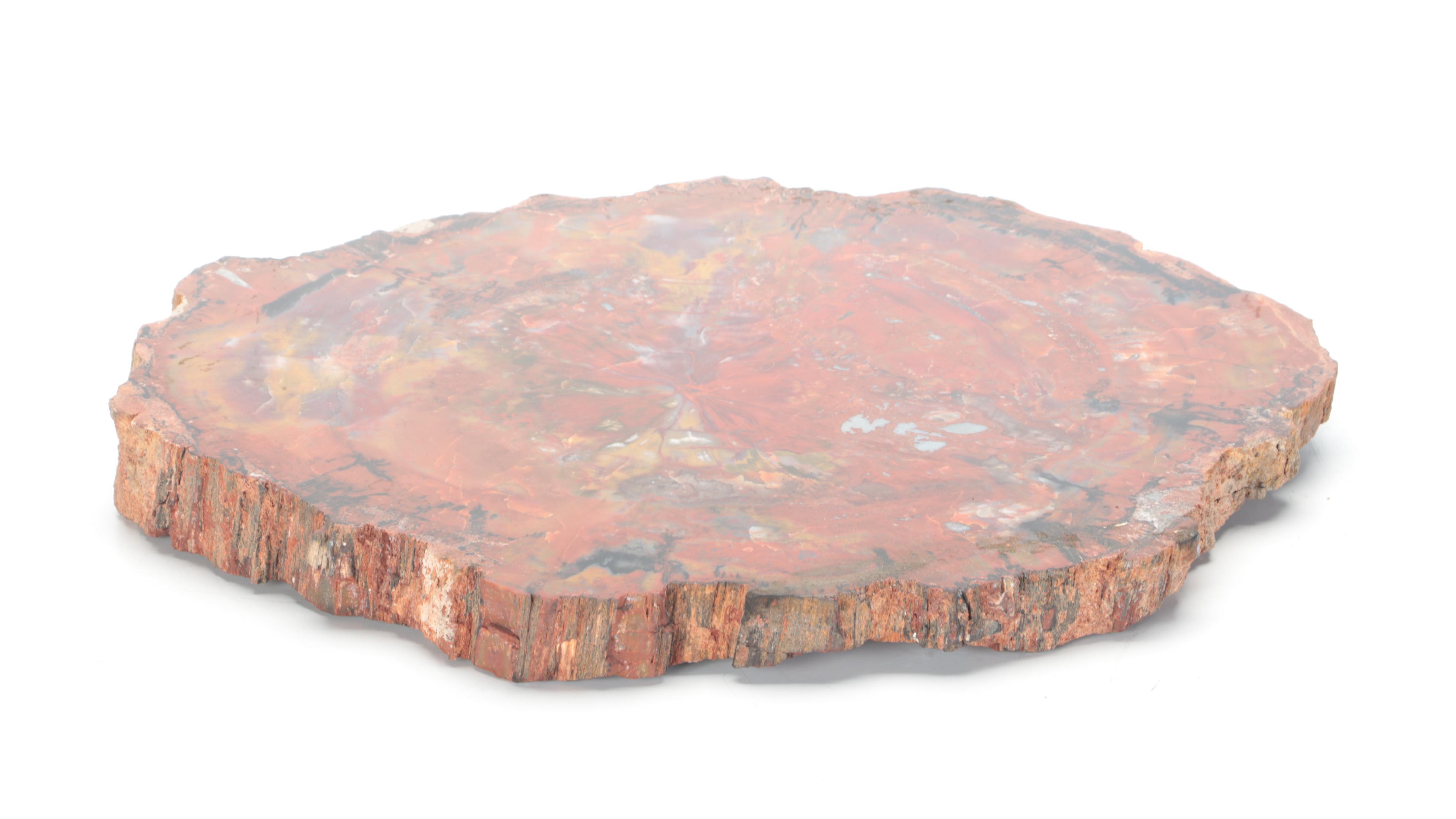 Agatized Petrified Wood Fossil Slab