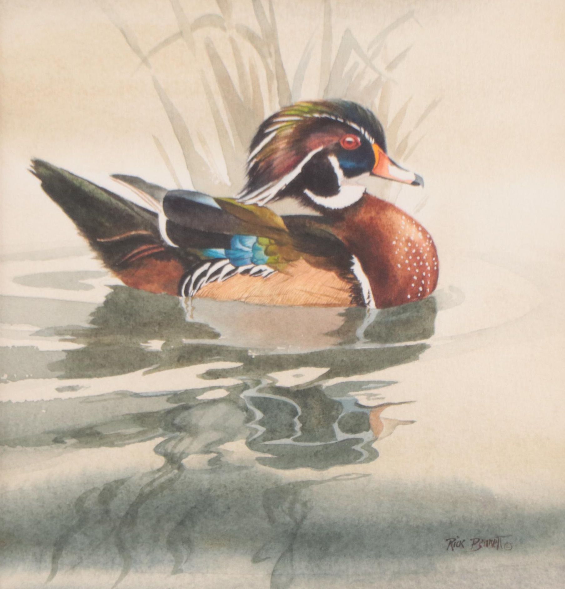 Rick Bennett Watercolor Painting "Wood Duck"