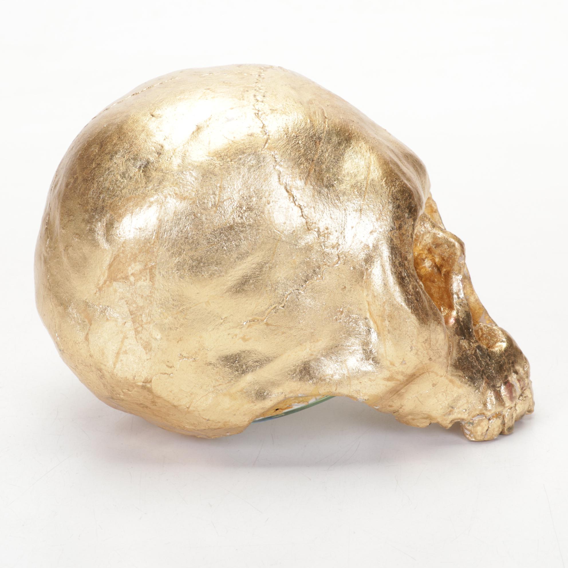 Composite Skull Replica Sculpture, Late 20th Century