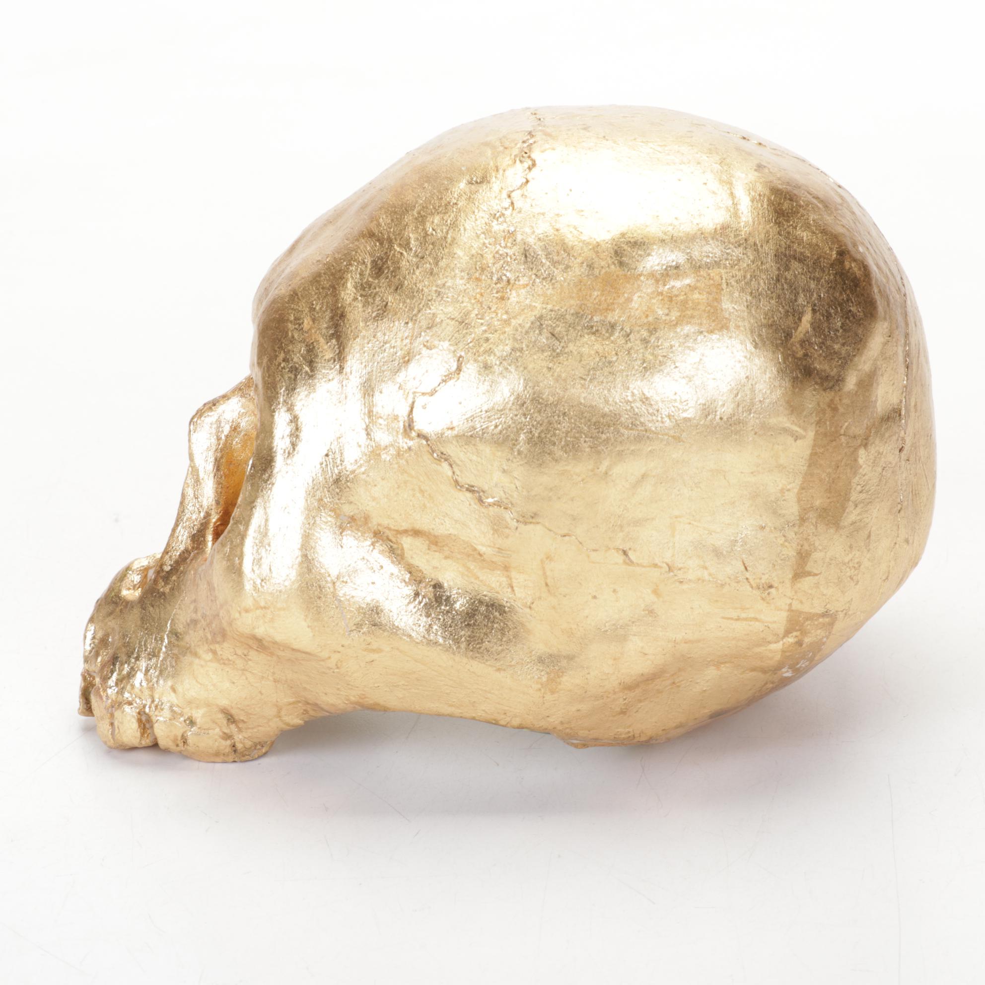 Composite Skull Replica Sculpture, Late 20th Century