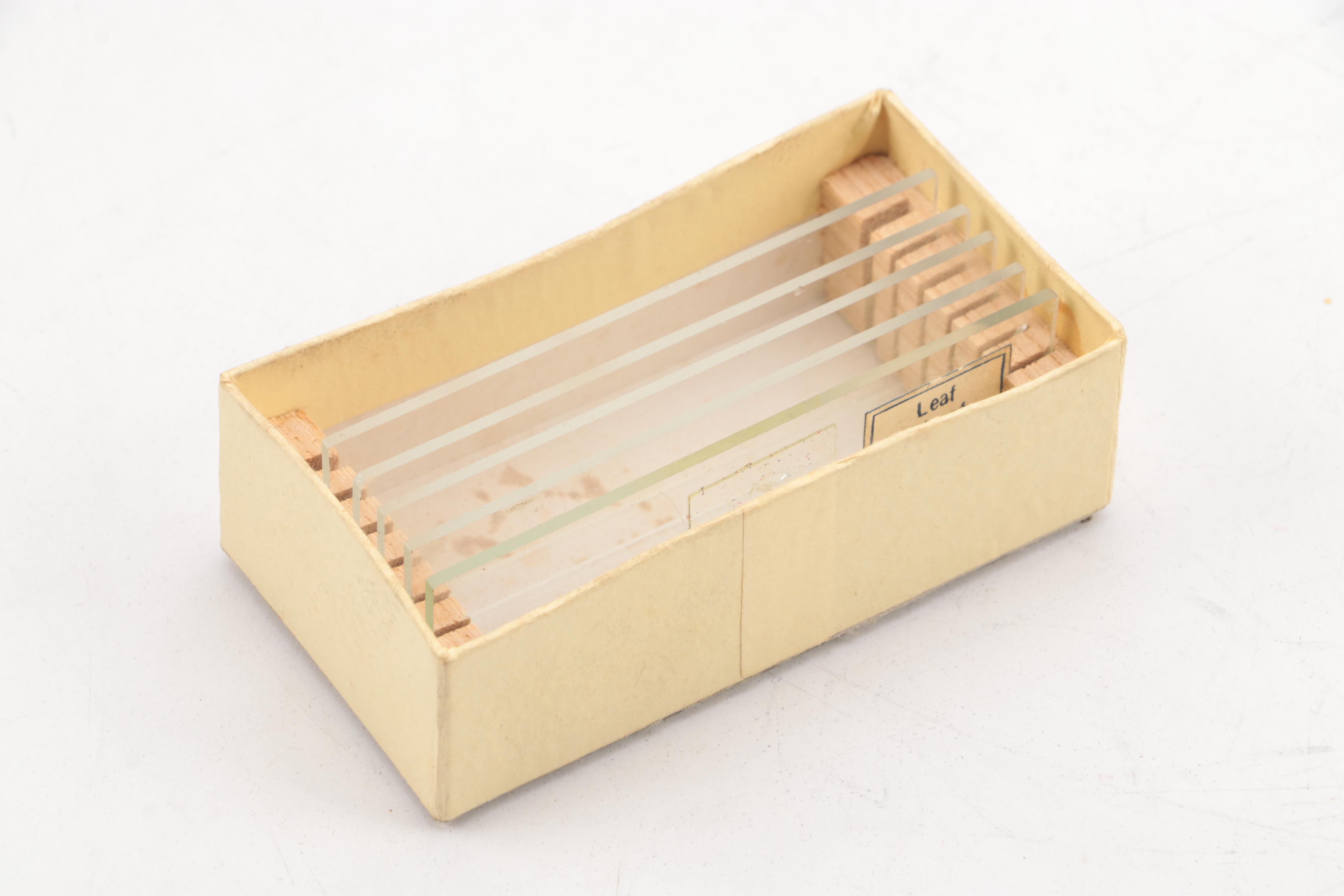 Monolux 1200x Microscope Kit with Magnifying Glasses