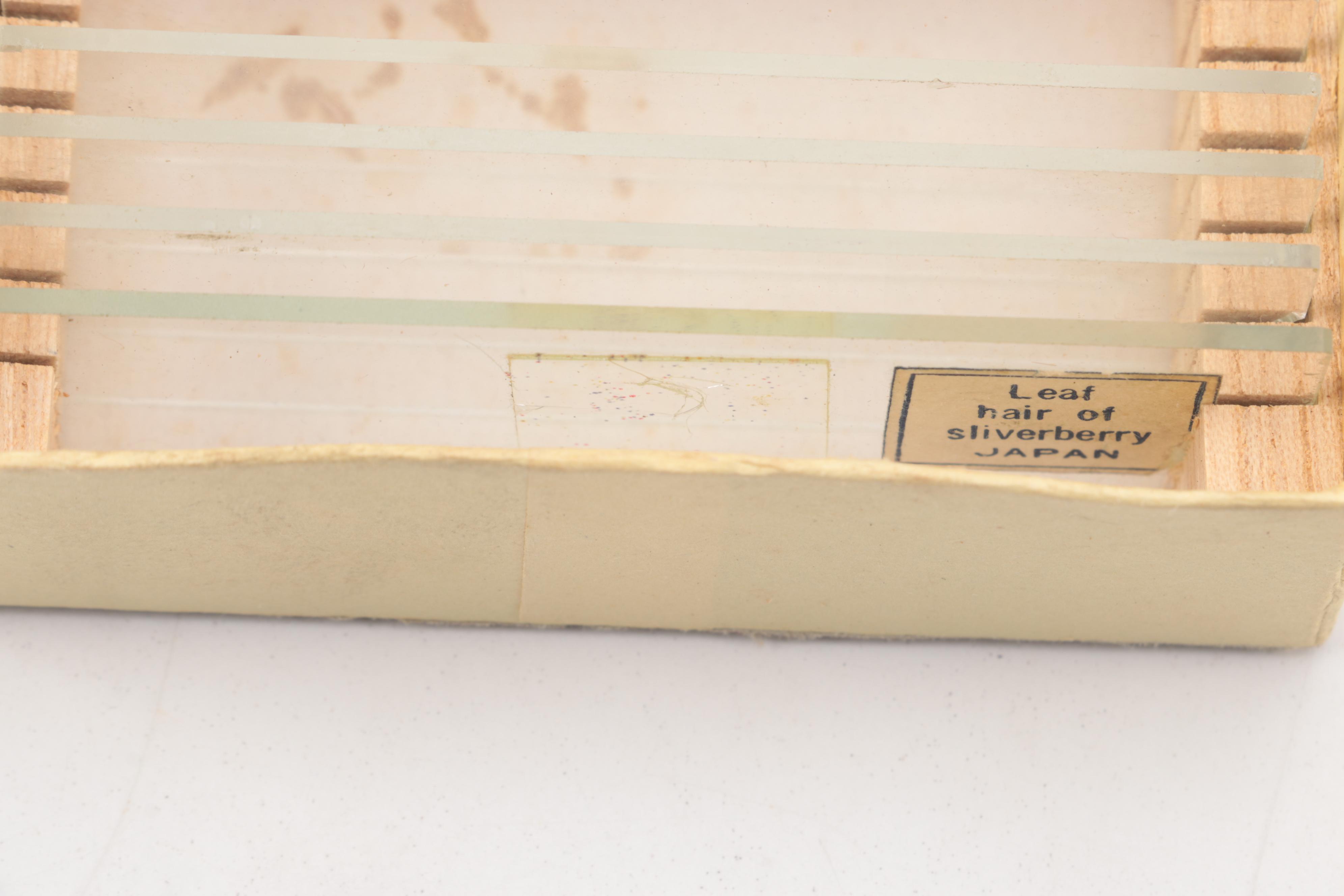 Monolux 1200x Microscope Kit with Magnifying Glasses