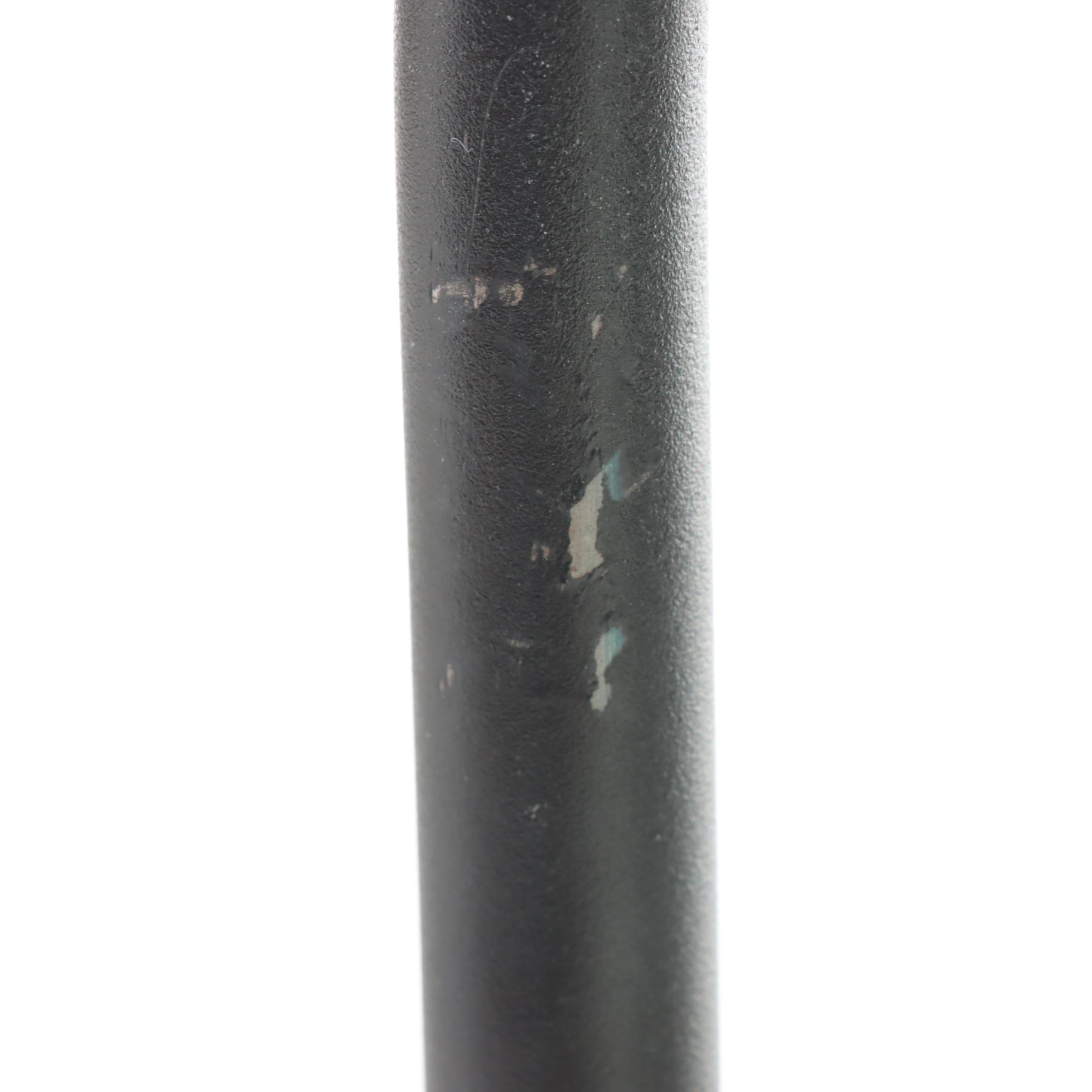 Northern Light Technologies "Flamingo" 10,000 Lux Sun Light Therapy Floor Lamp