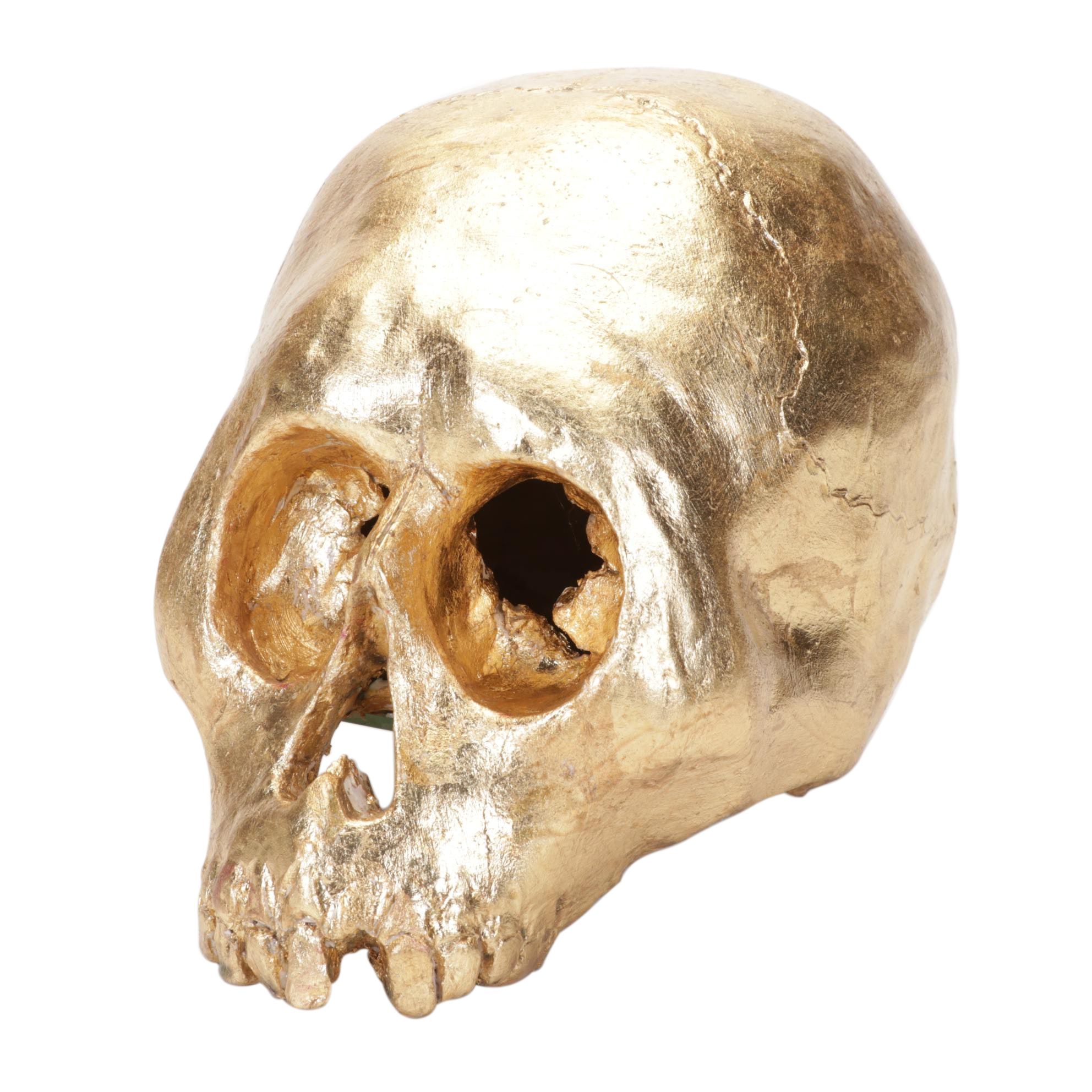 Composite Skull Replica Sculpture, Late 20th Century