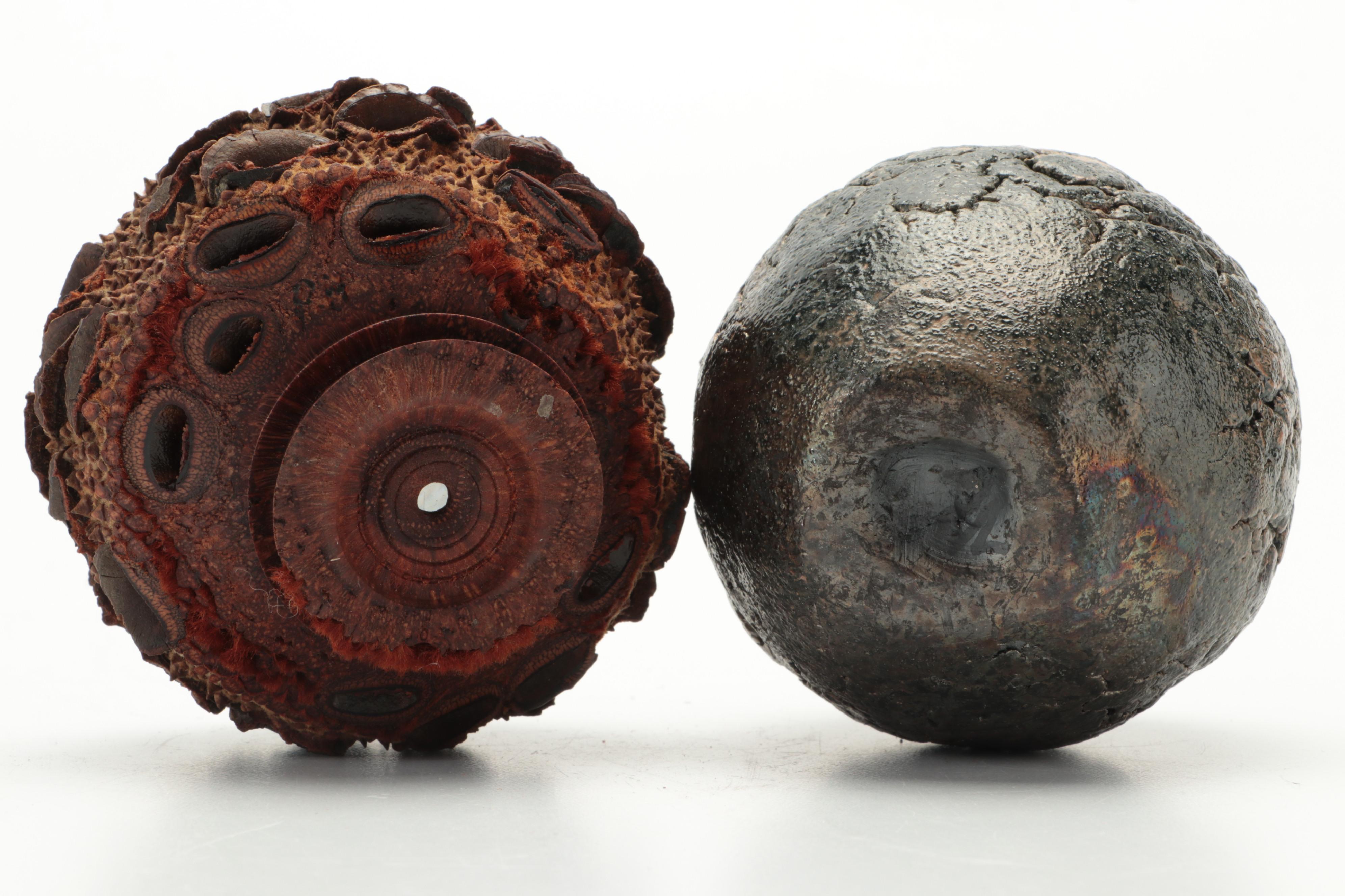Raku-Fired Studio Pottery Vase, Turned Lotus Root and Peruvian Etched Gourd