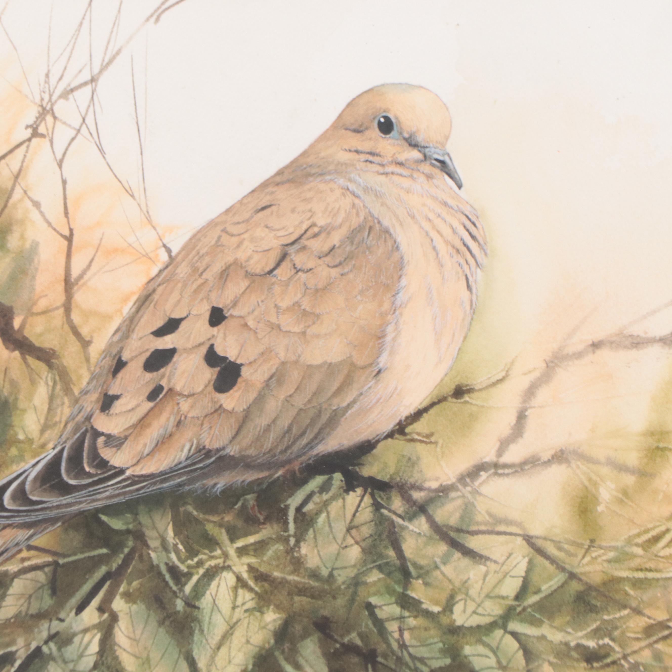Joe Garcia Watercolor Painting of a Mourning Dove