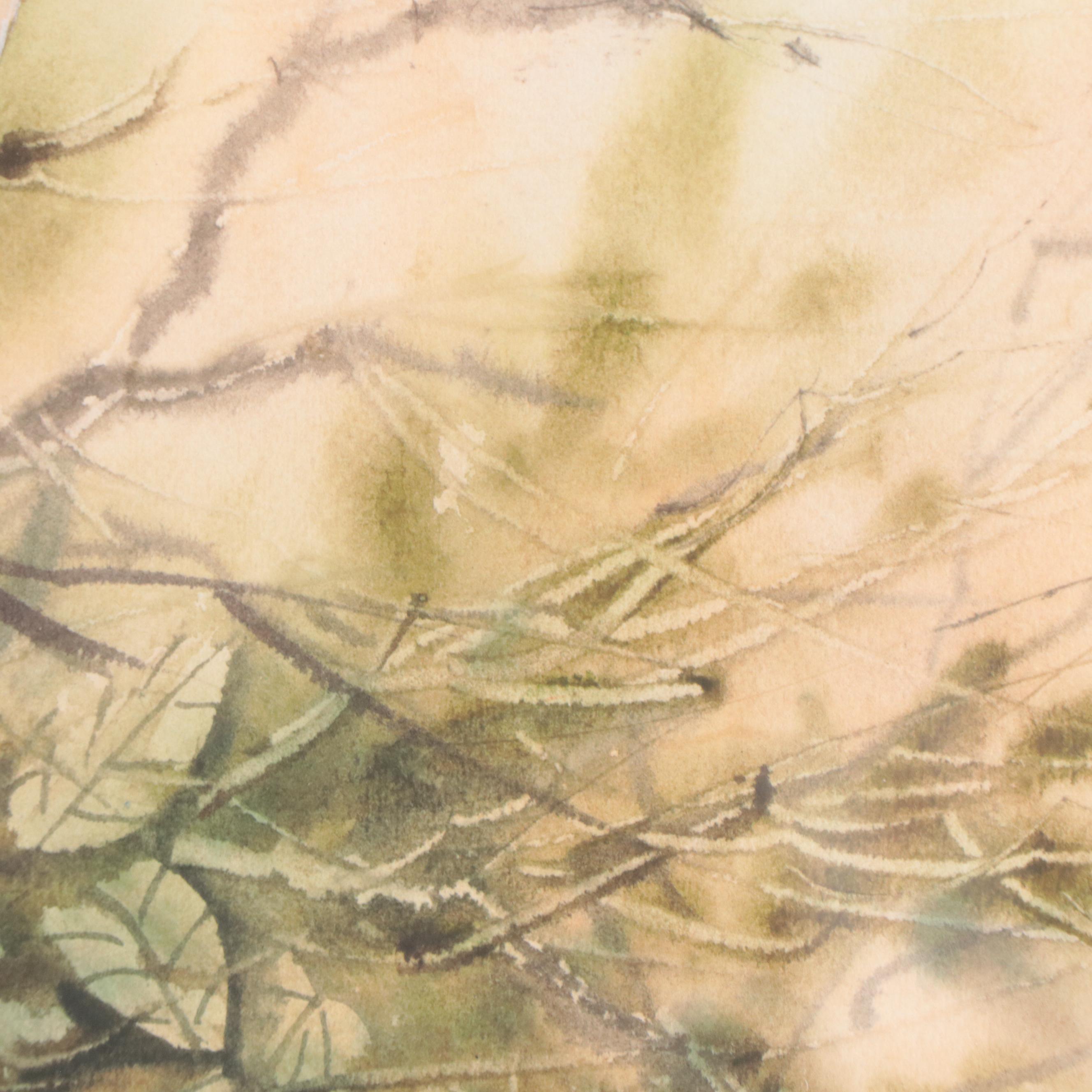Joe Garcia Watercolor Painting of a Mourning Dove