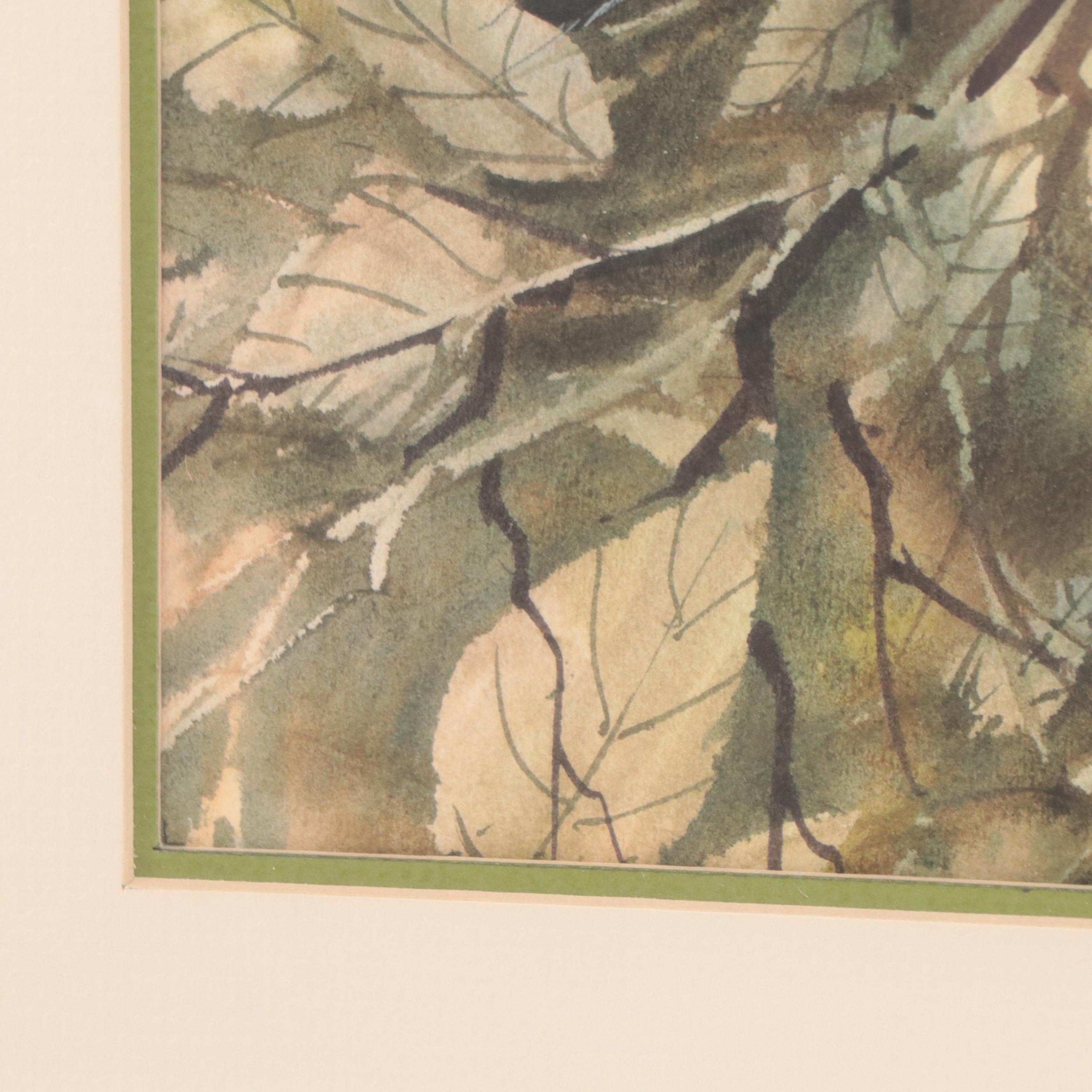 Joe Garcia Watercolor Painting of a Mourning Dove