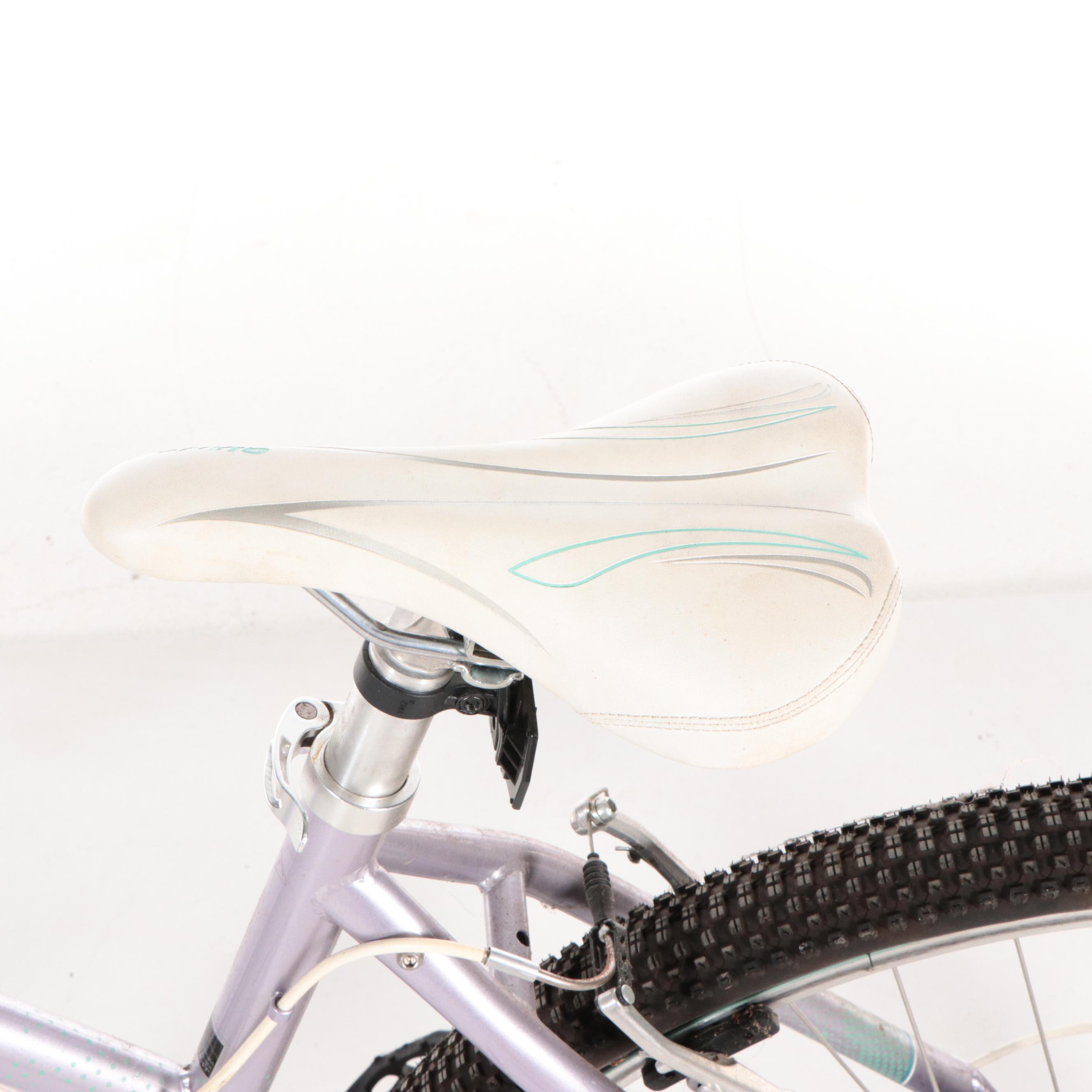 Giant SR Suntour Mountain Bicycle