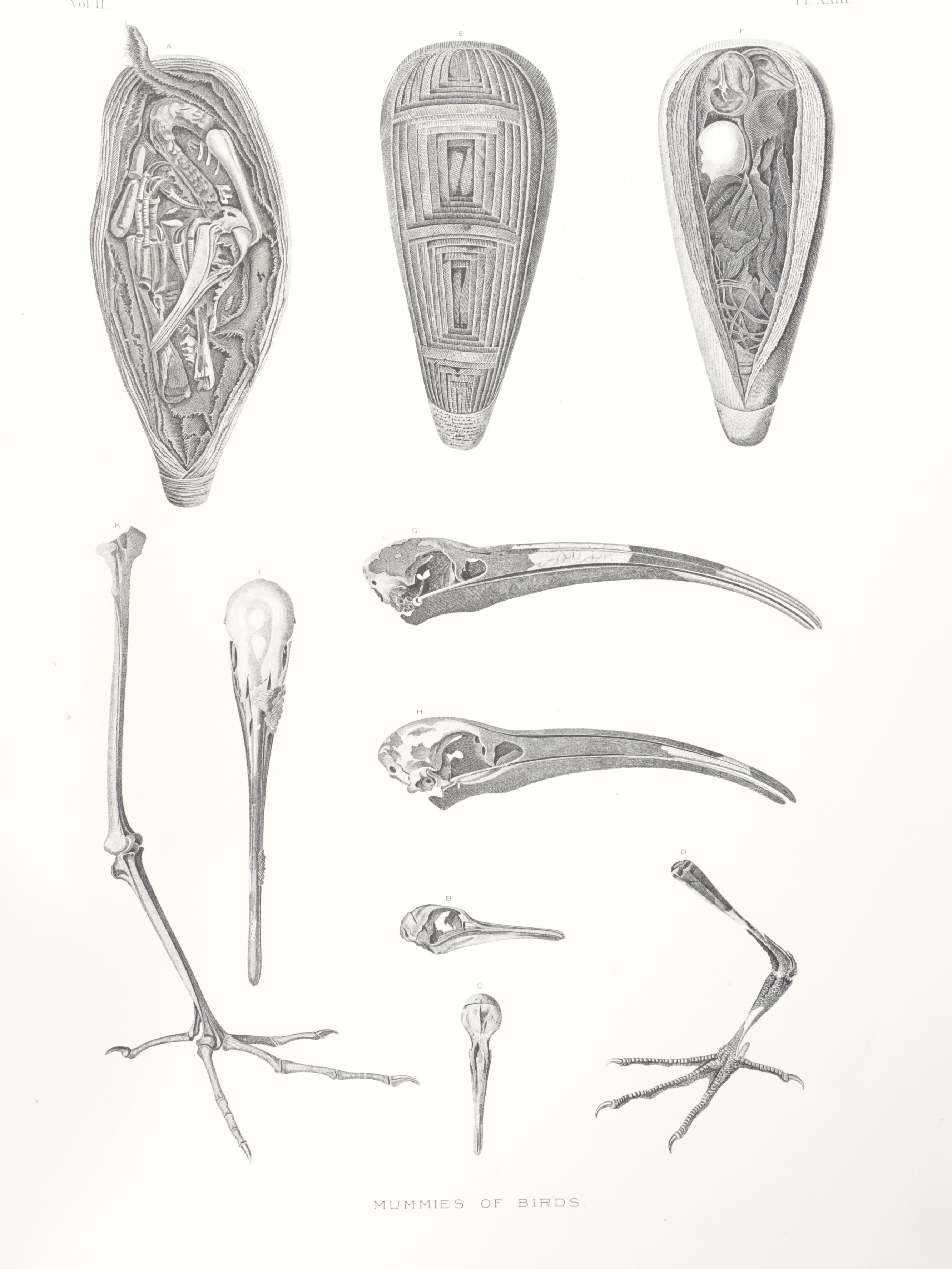 Limited Edition "Ancient Egypt of Mizraim" by Samuel Augustus Binion, 1887