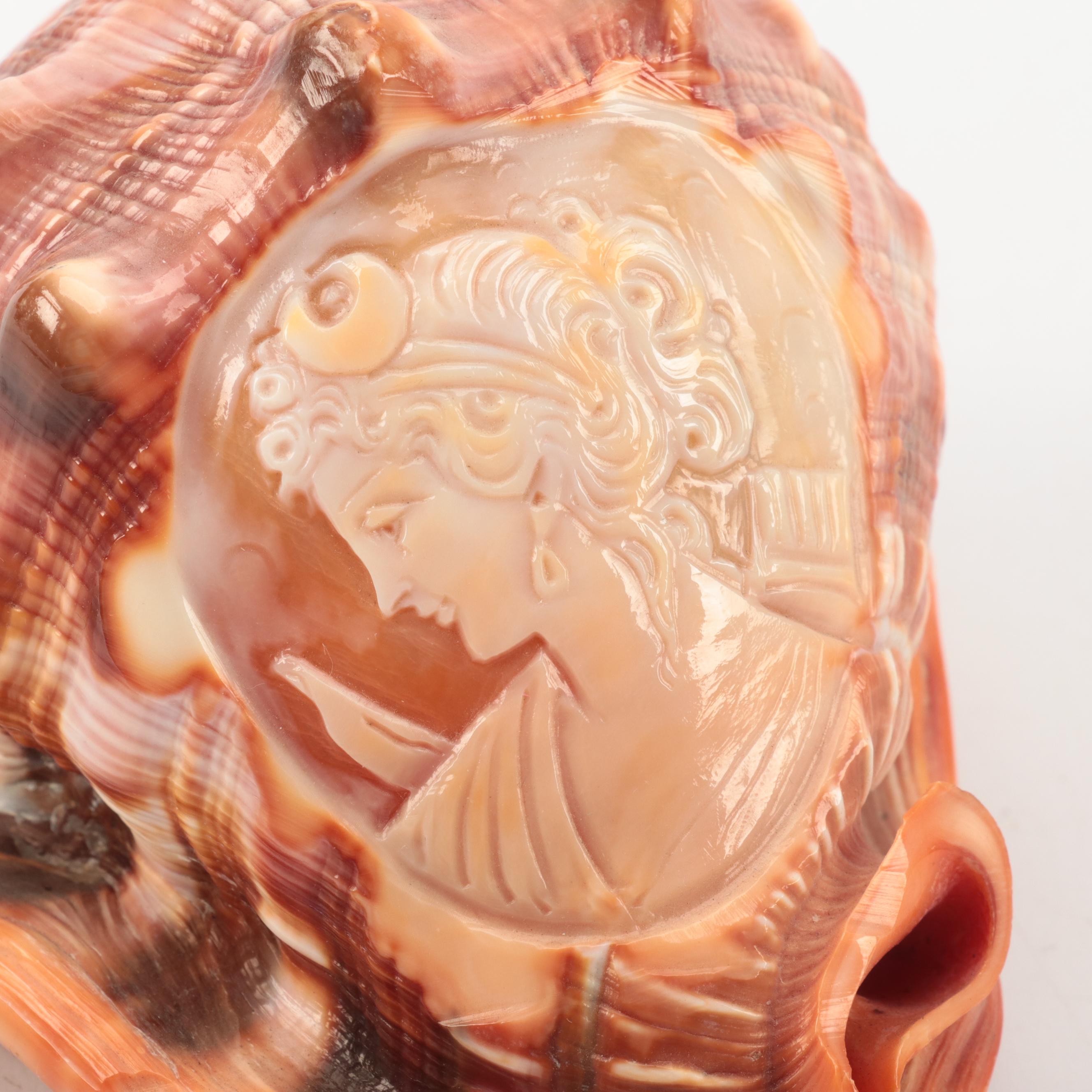 Cassis Rufa with Carved Cameo of Greco Roman Figure