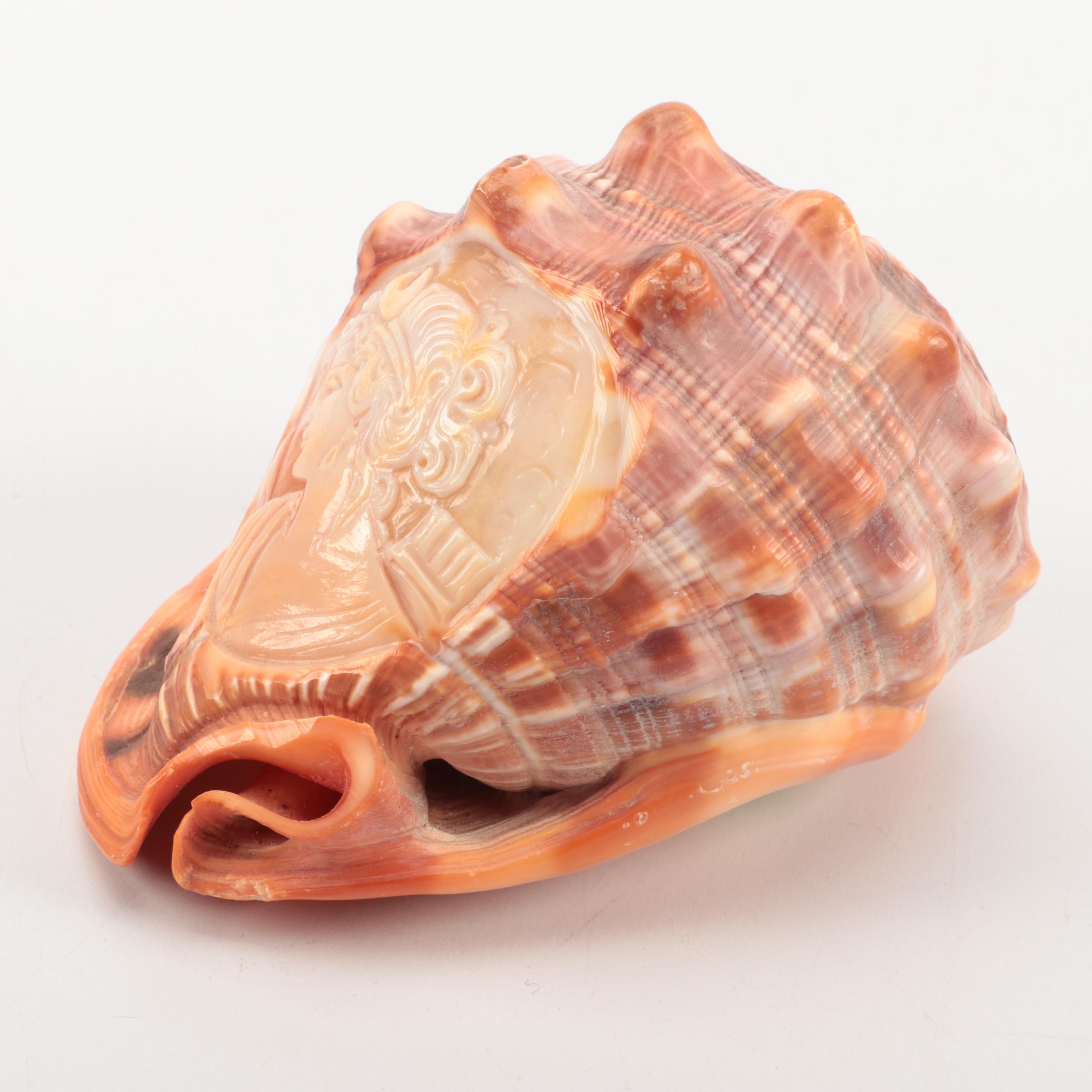 Cassis Rufa with Carved Cameo of Greco Roman Figure