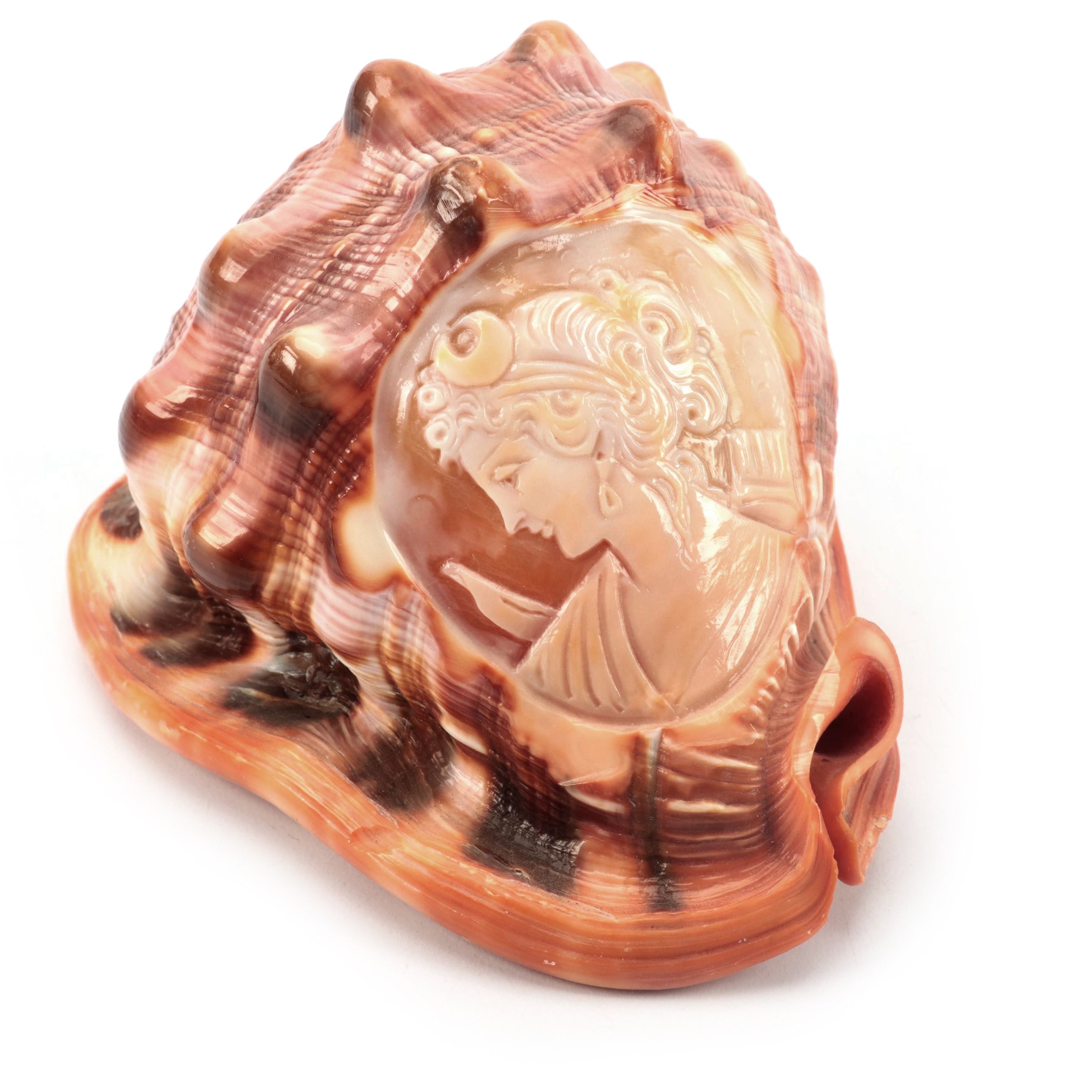 Cassis Rufa with Carved Cameo of Greco Roman Figure