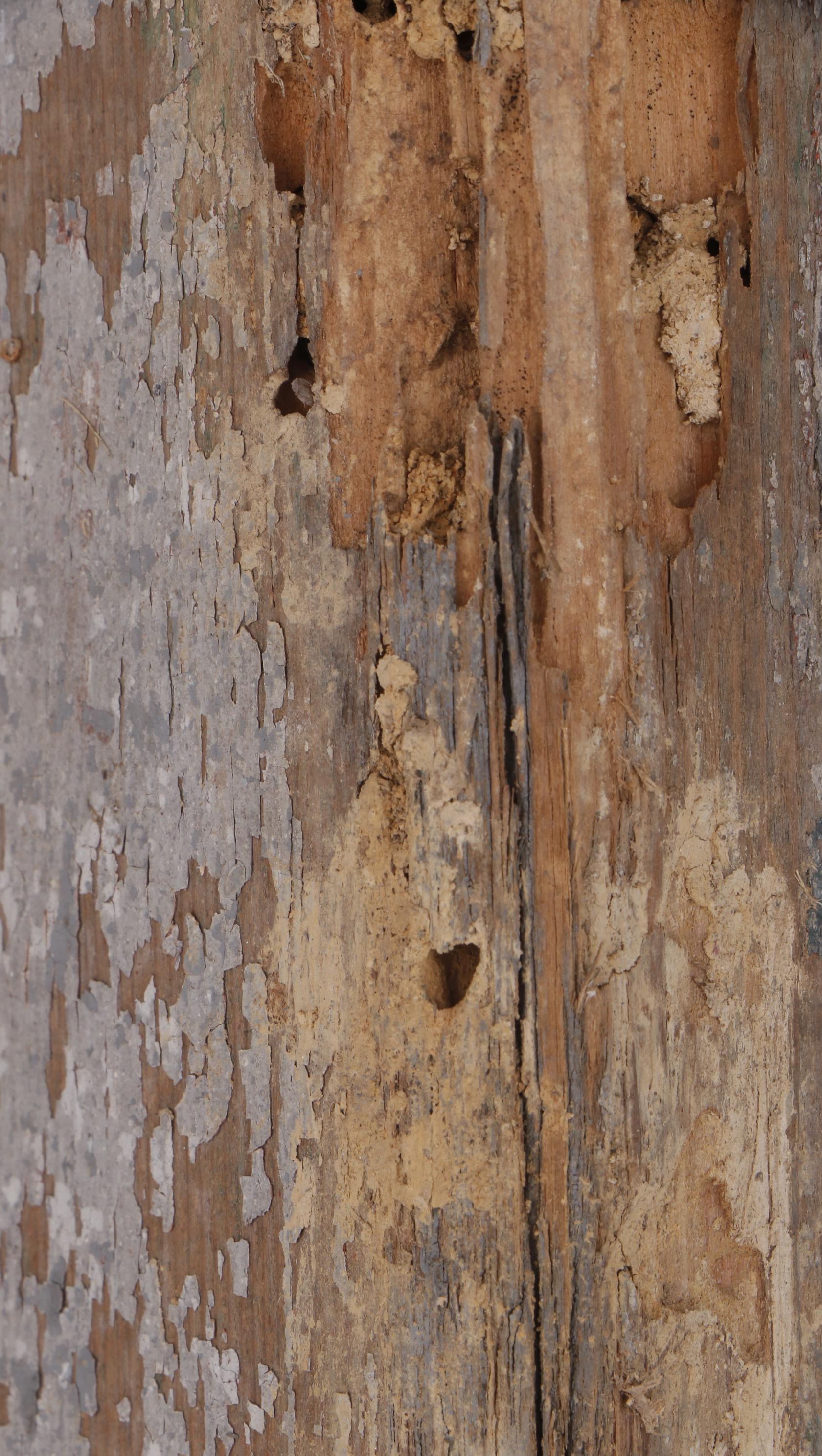 American Primitive Pine Seven-Rung Ladder, Late 19th/Early 20th Century