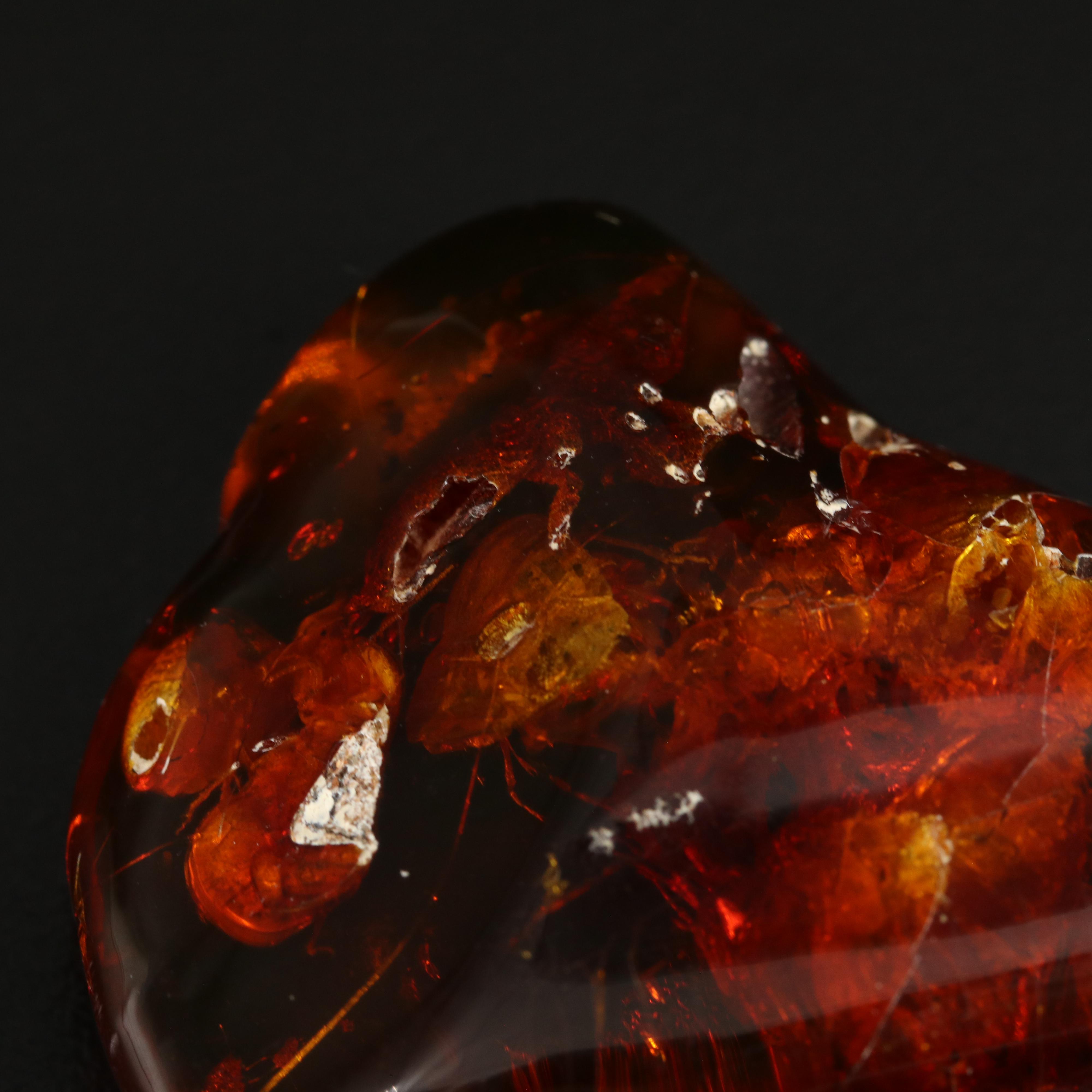 Loose Tumbled Amber