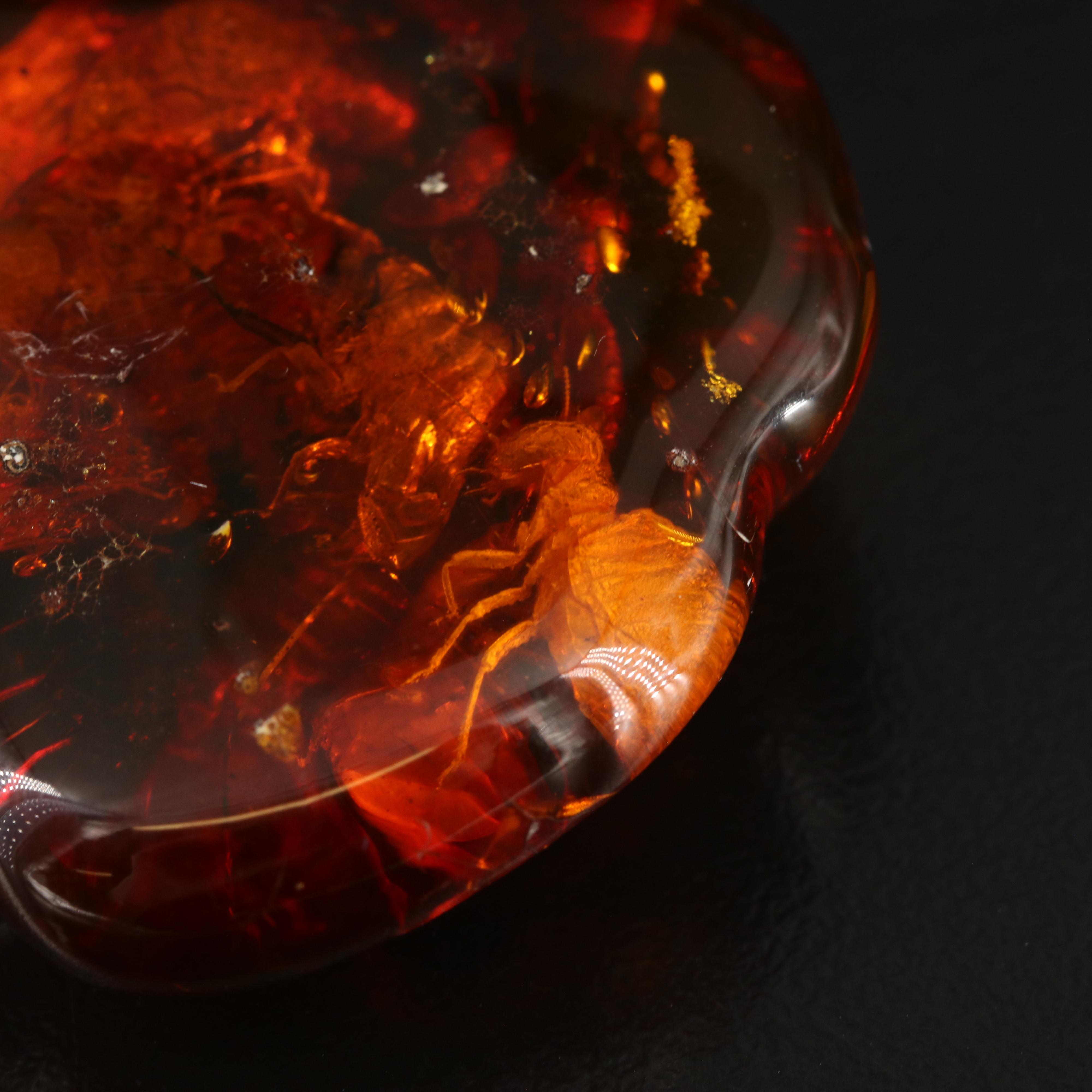 Loose Tumbled Amber