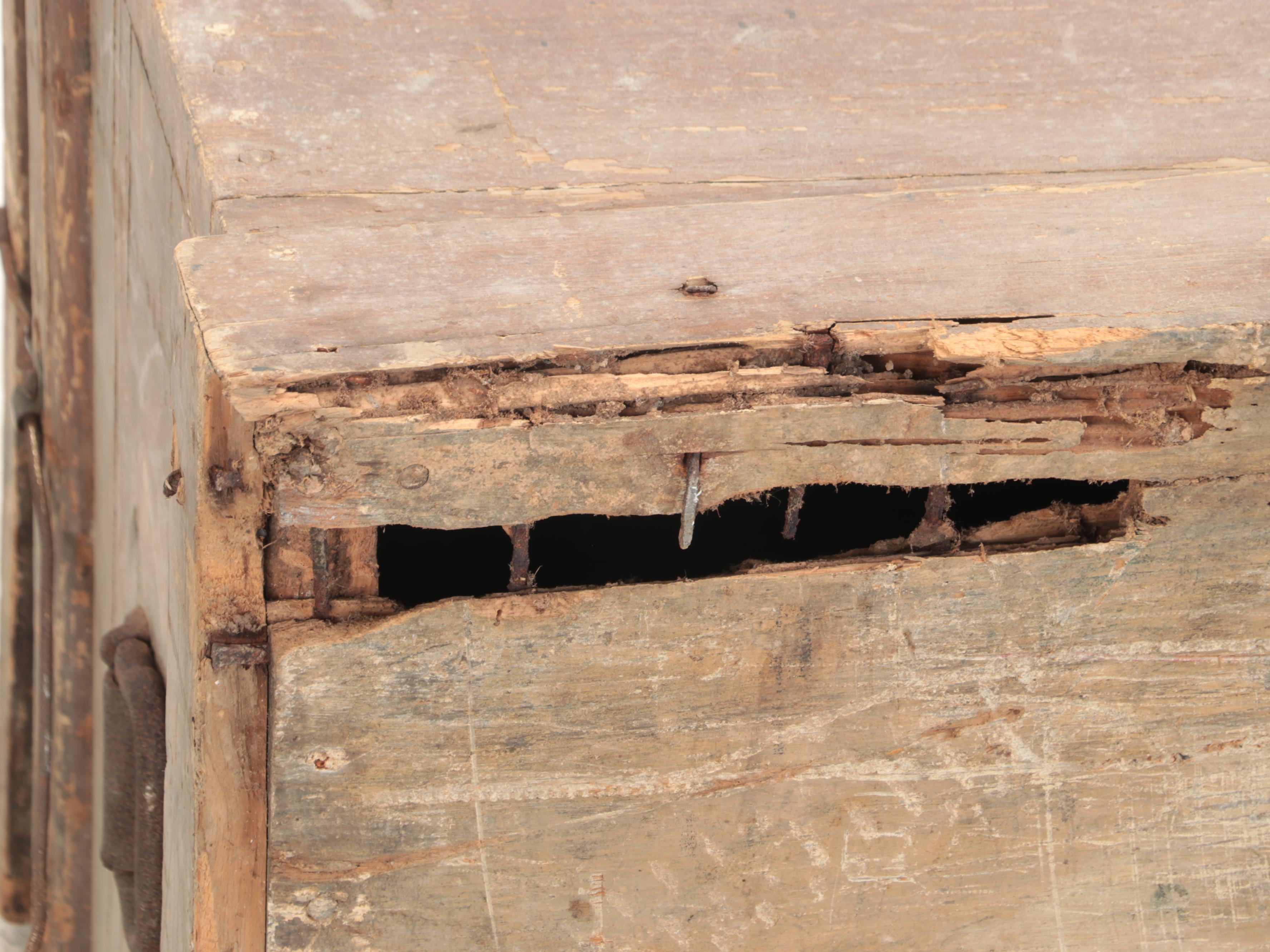 Victorian Pine Carpenter's Chest, 19th Century