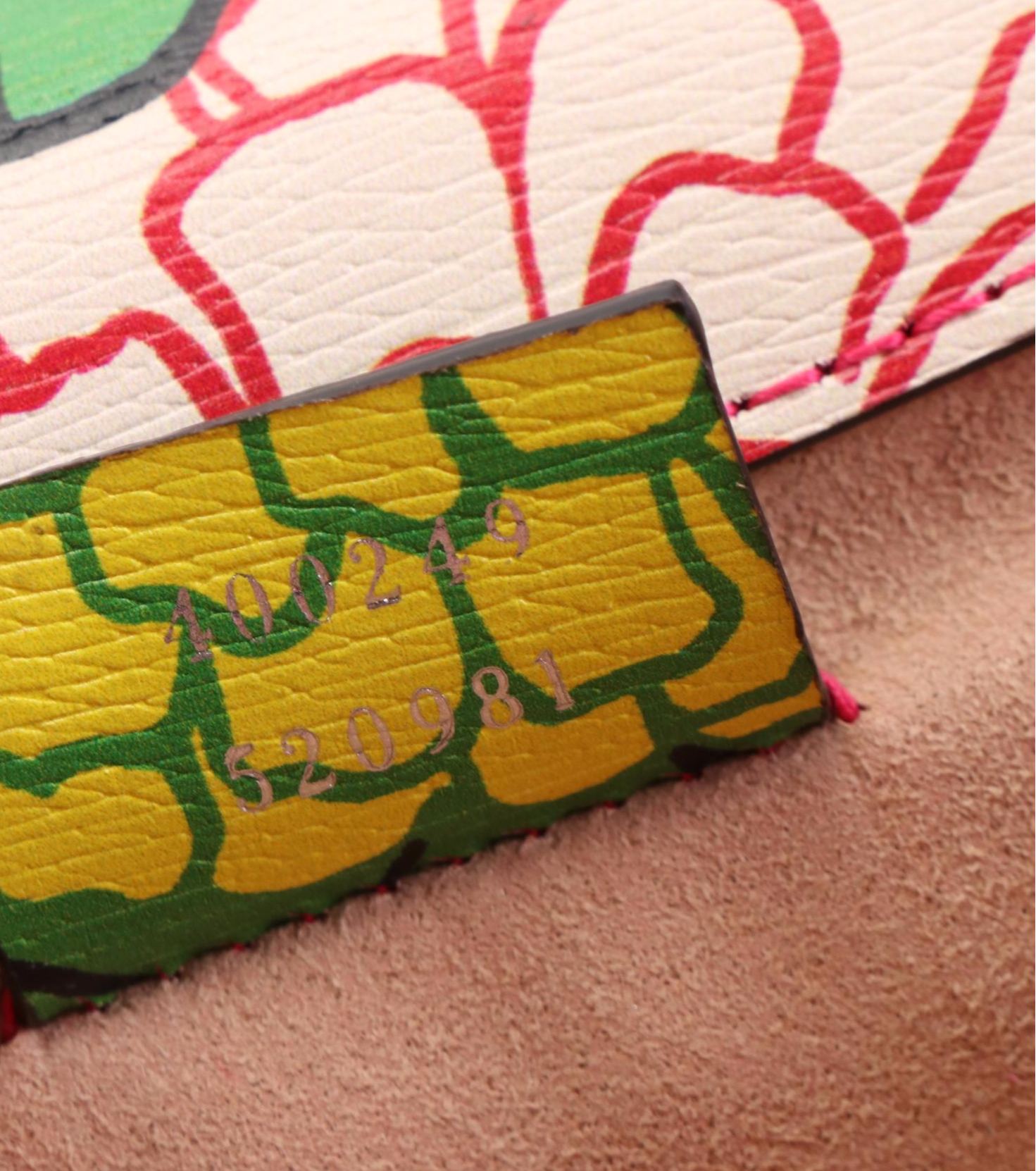 Gucci x Ken Scott Limited Edition Dionysus Bag in Printed Leather