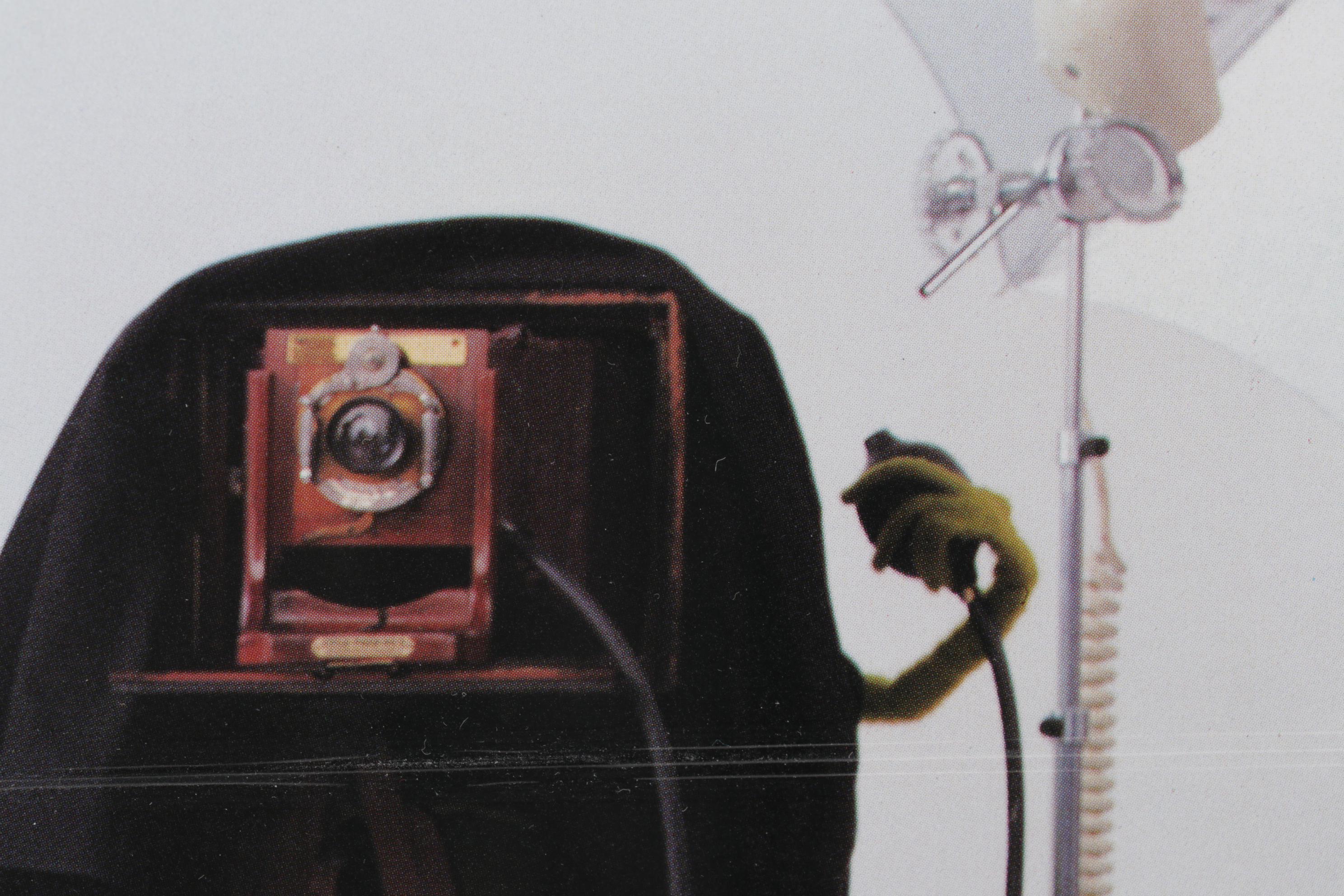 Miss Piggy on Photo Set Offset Lithograph From "Miss Piggy's Poster Book," 1986