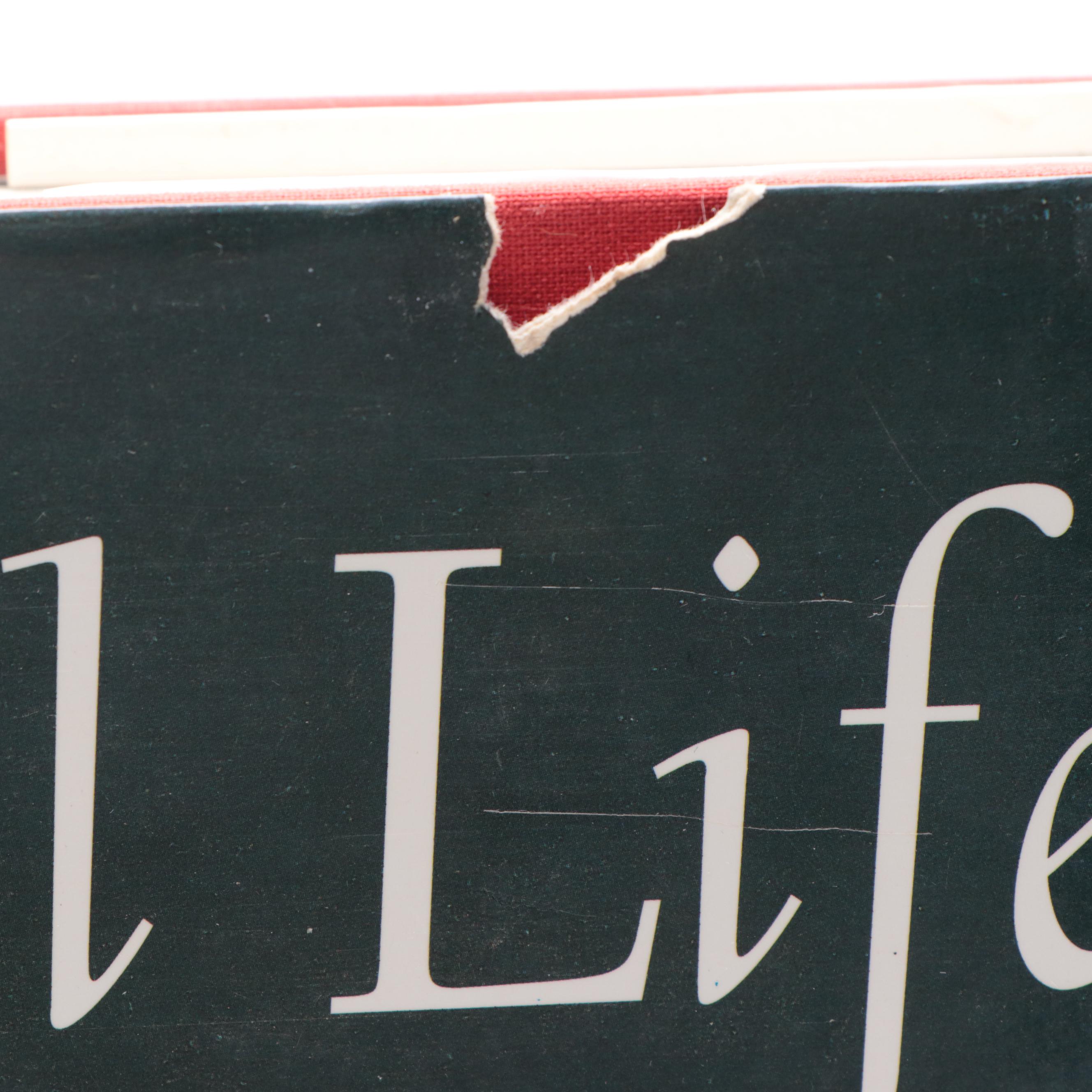 "Still Life: A History" and "The Golden Age of Danish Art" Art Books