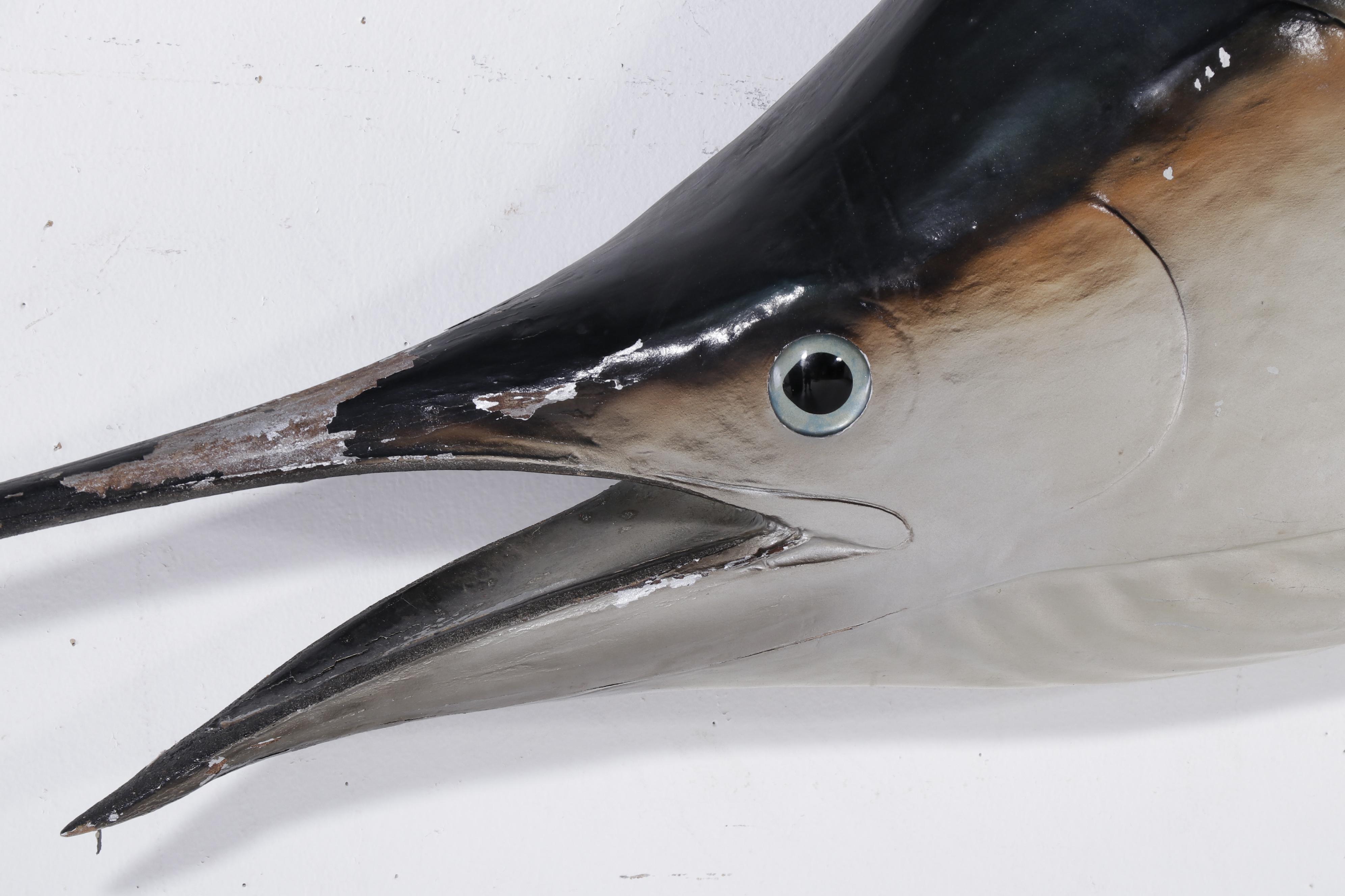 Taxidermy Sailfish Fiberglass Replica Wall Mount