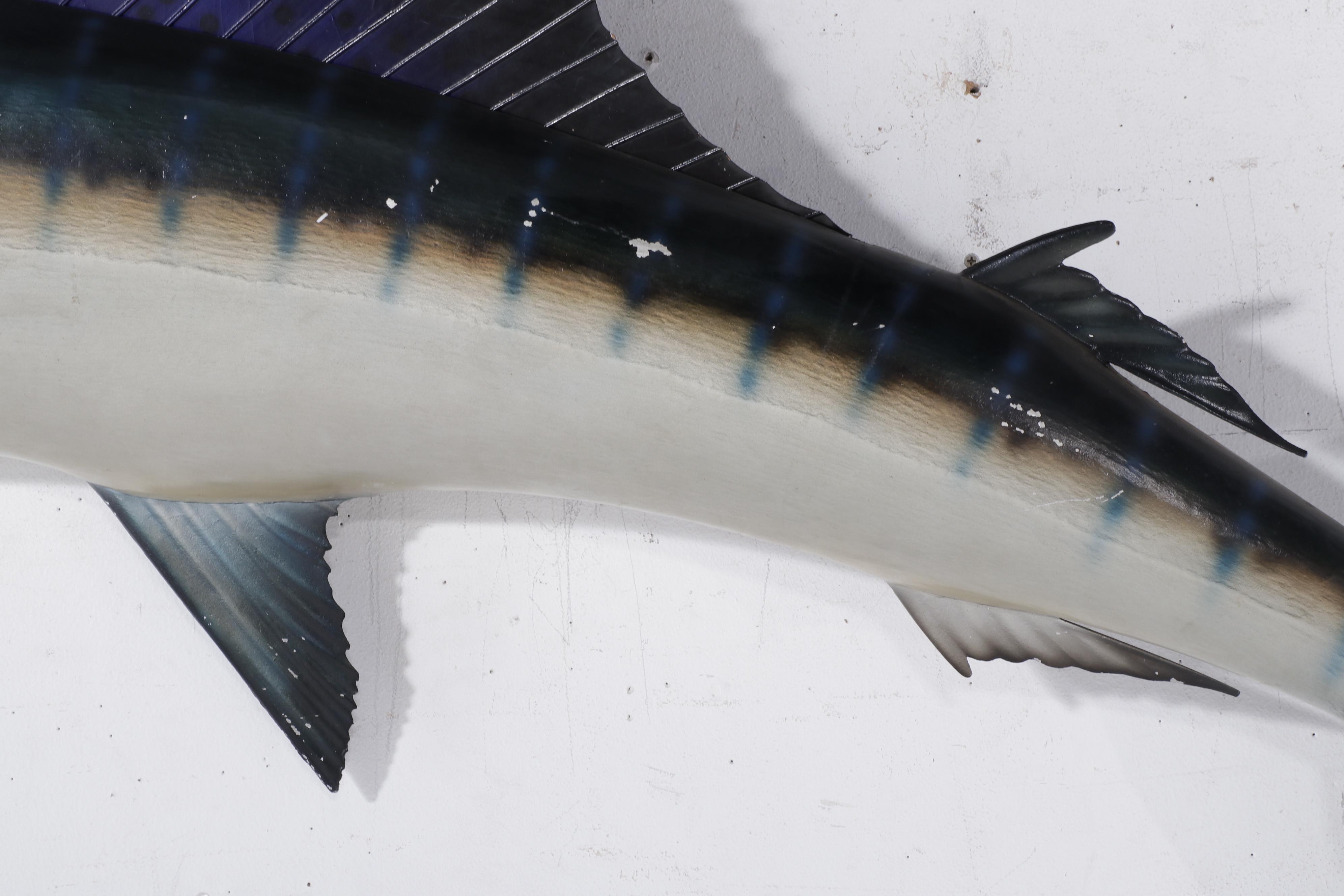 Taxidermy Sailfish Fiberglass Replica Wall Mount